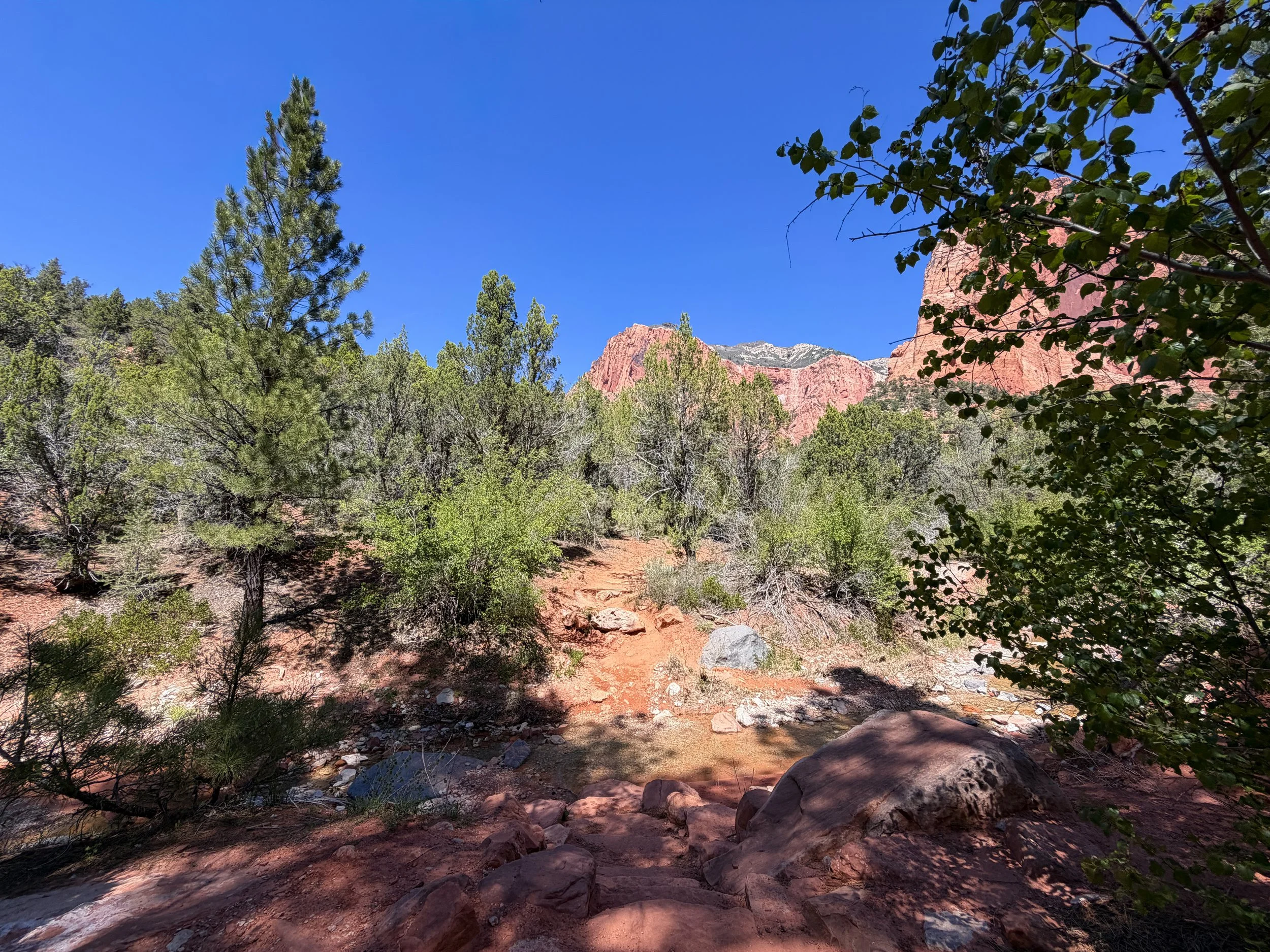 Taylor Creek Trail to Double Arch Alcove Zion National Park Utah