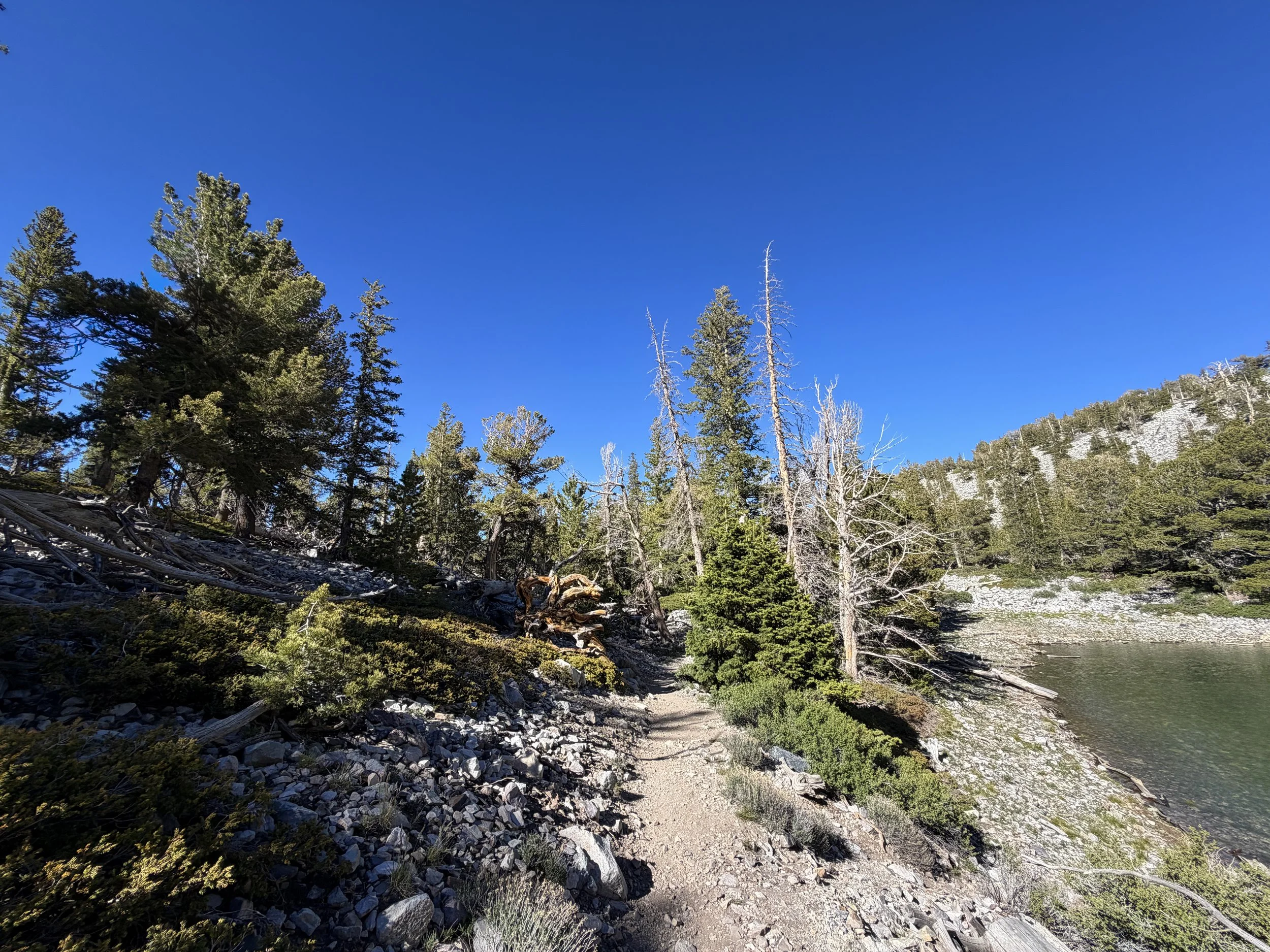 Alpine Lakes Loop Trail Great Basin National Park Nevada