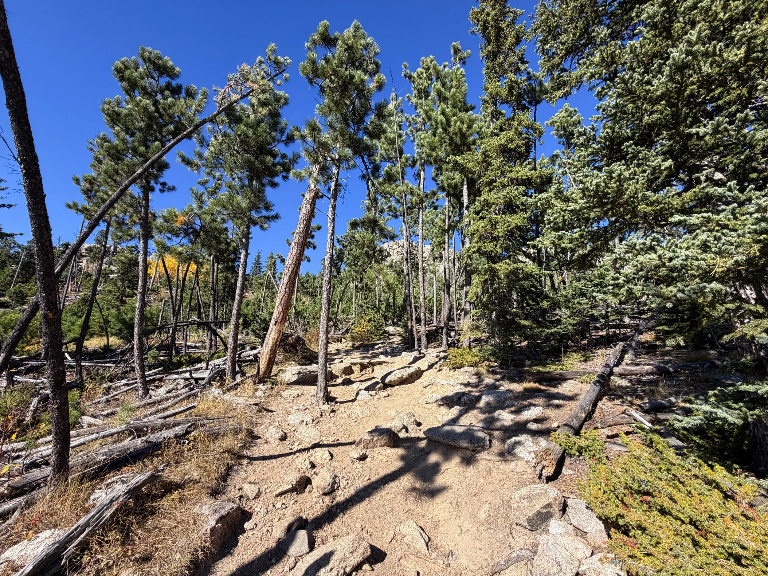 Black Elk Peak Trail to Harney Peak Lookout Black Hills South Dakota