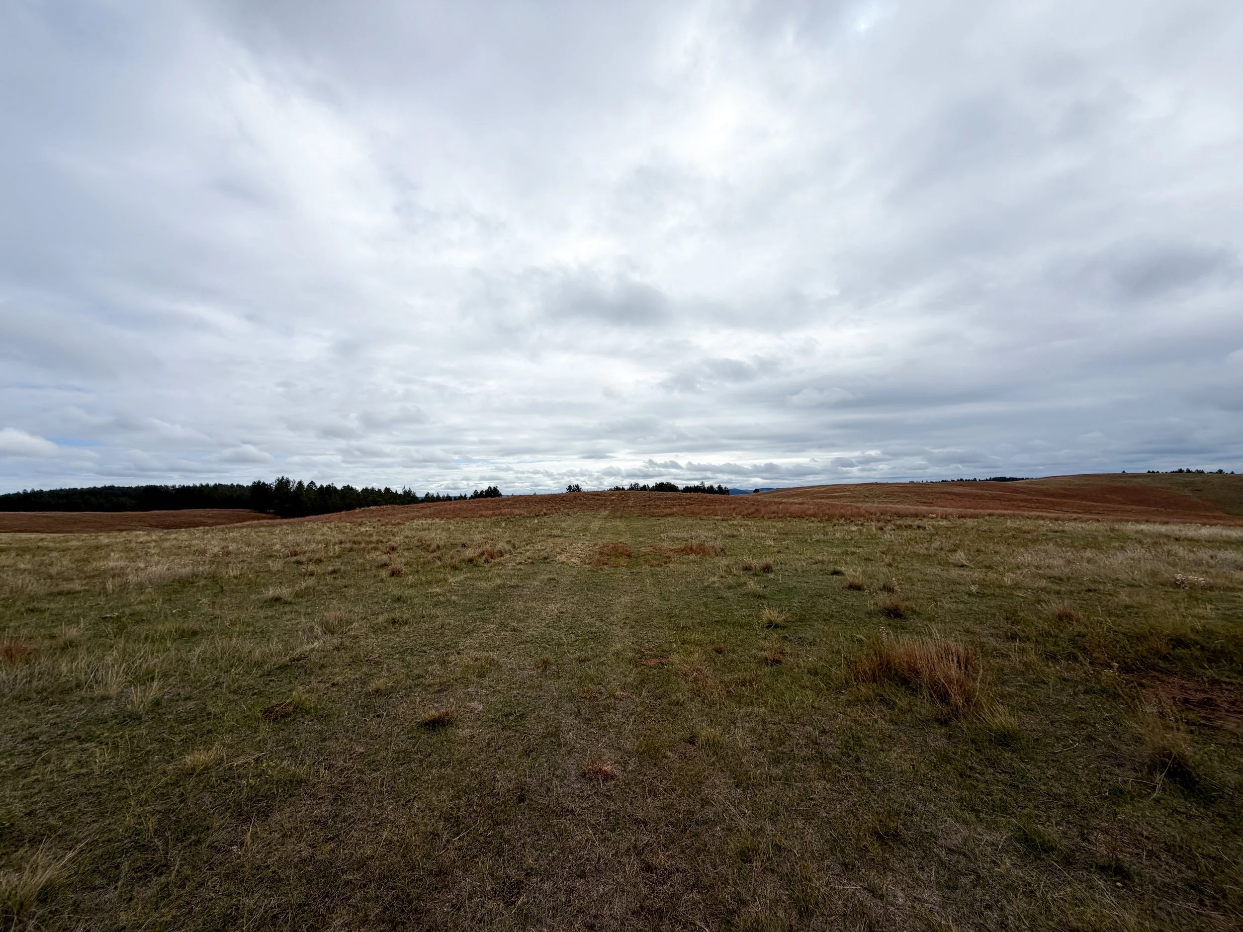 Highland Creek Trail Wind Cave National Park South Dakota