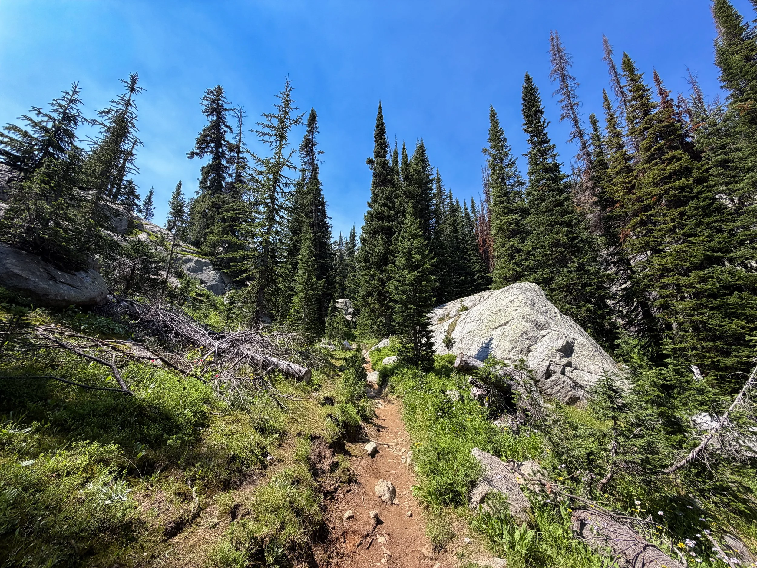 The Beaten Path Trail Beartooth Mountains Montana