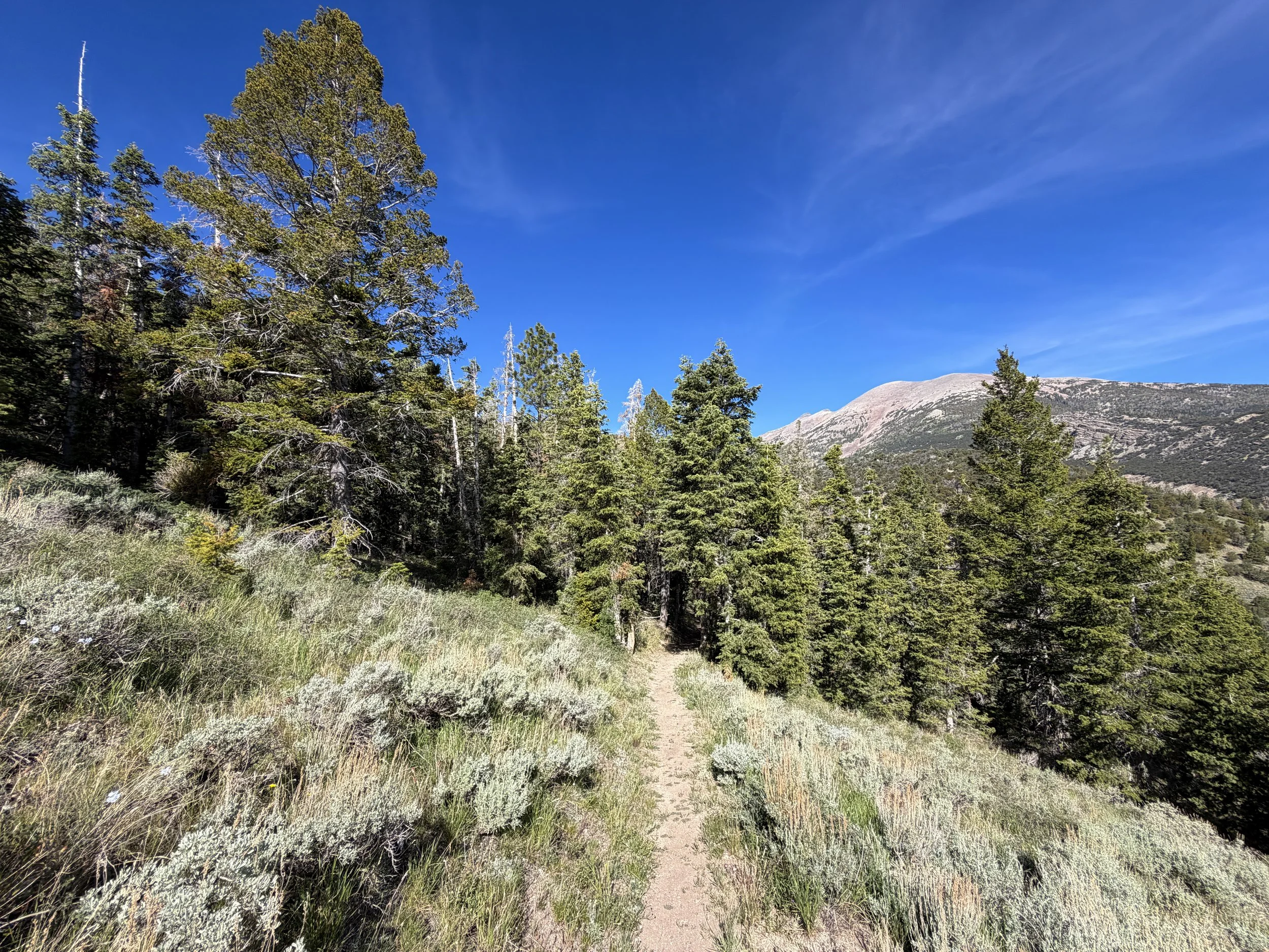 Pole Canyon Hike Great Basin National Park Nevada