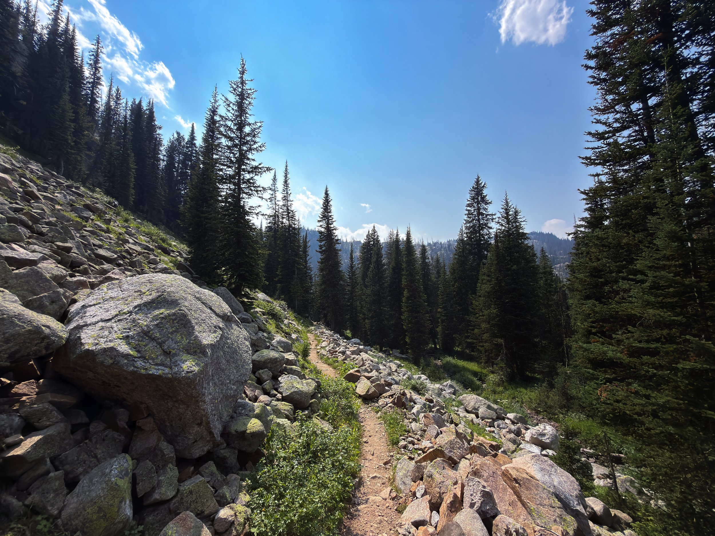 Russell Creek Trail The Beaten Path Beartooth Mountains Montana