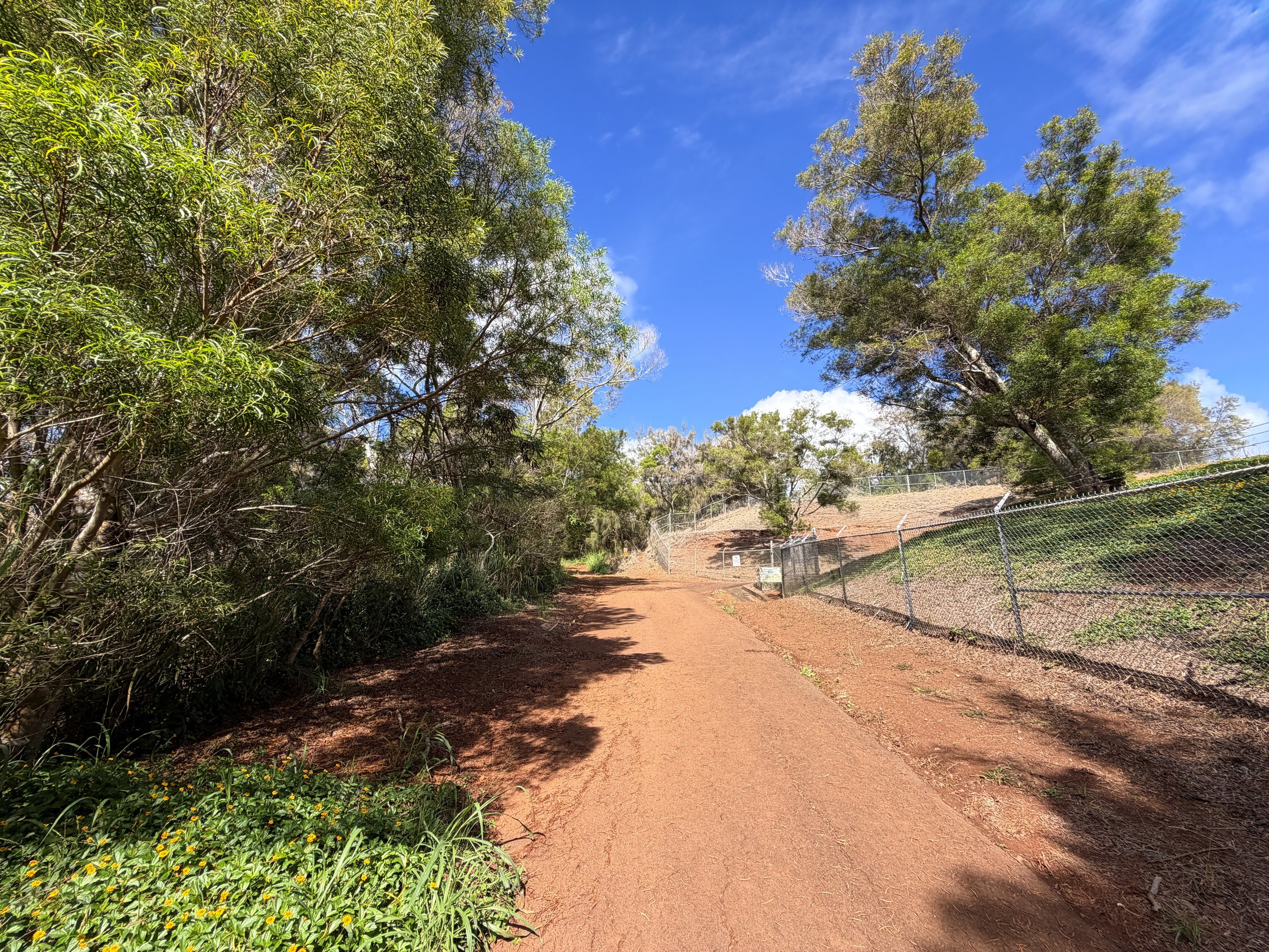 Wiliwilinui Ridge Trail Oahu Hawaii