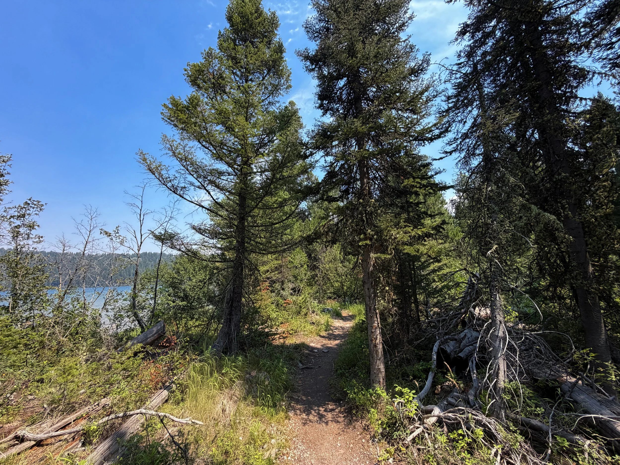 Phelps Lake Loop Trail Grand Teton National Park Wyoming