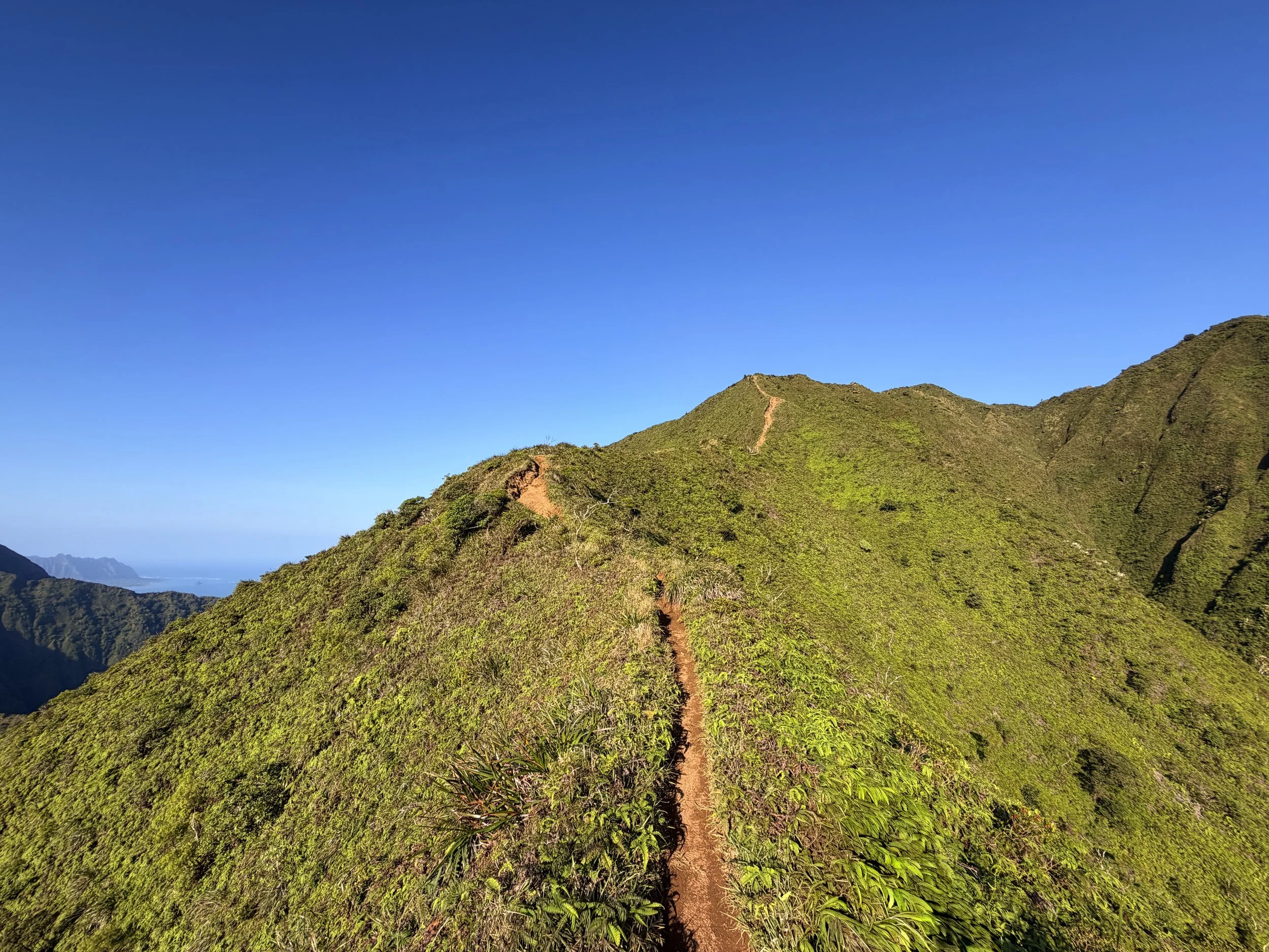 Moanalua Middle Ridge Trail Back Way to Stairway to Heaven Oahu Hawaii