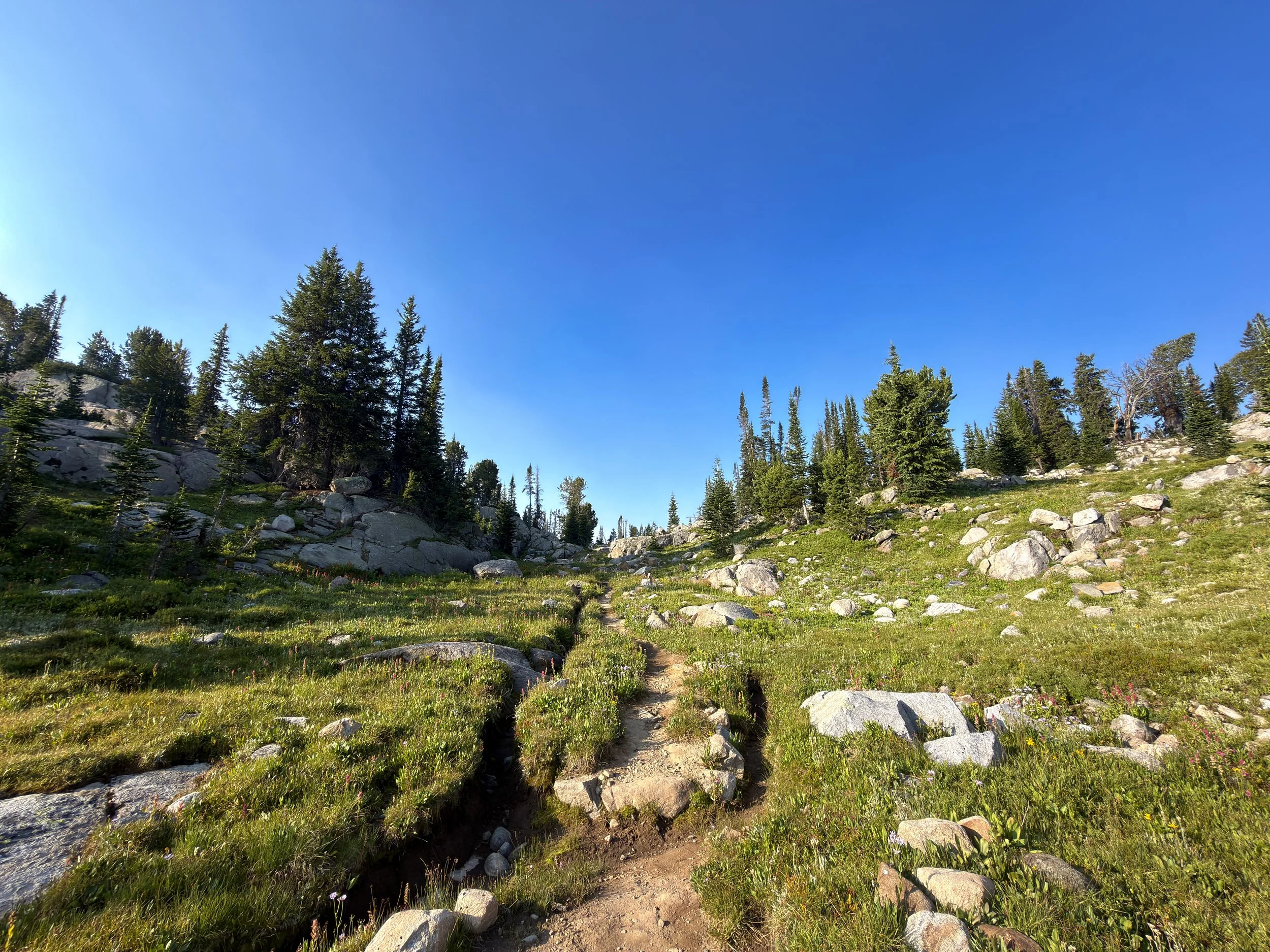 Beaten Path Trail Beartooth Mountains Montana