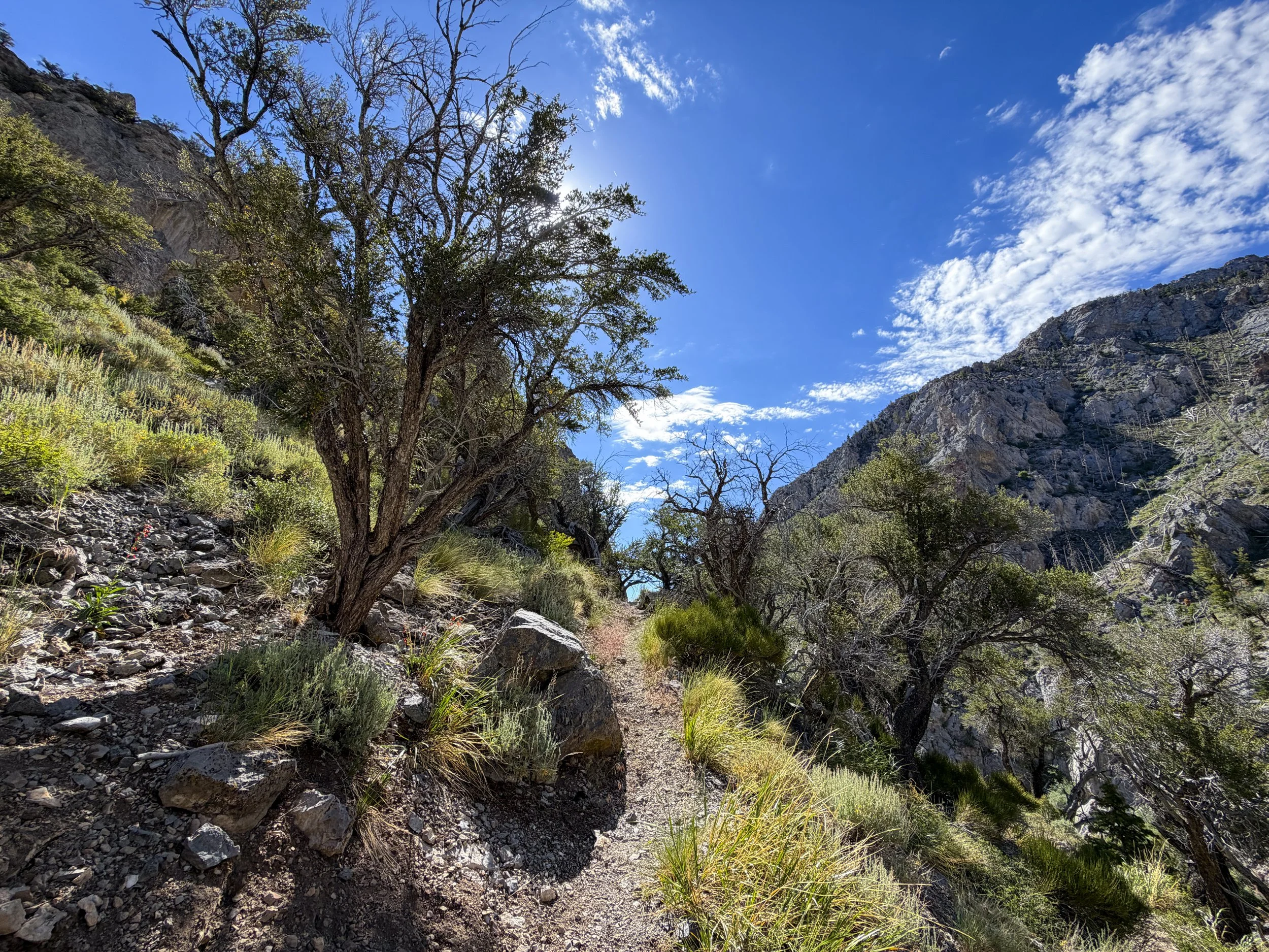 Lexington Arch Trail Great Basin National Park Nevada