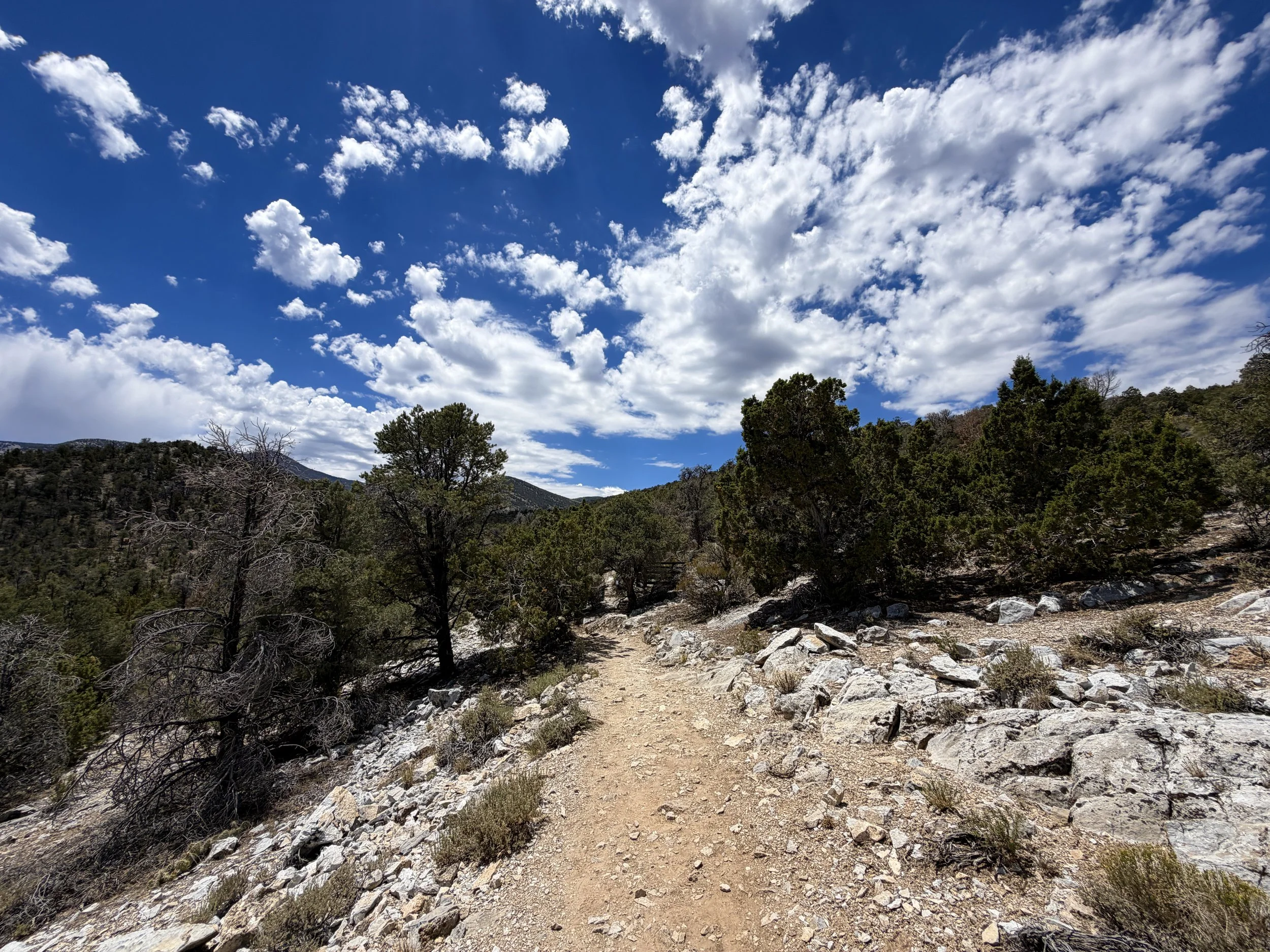 Mountain View Nature Hike Great Basin National Park Nevada