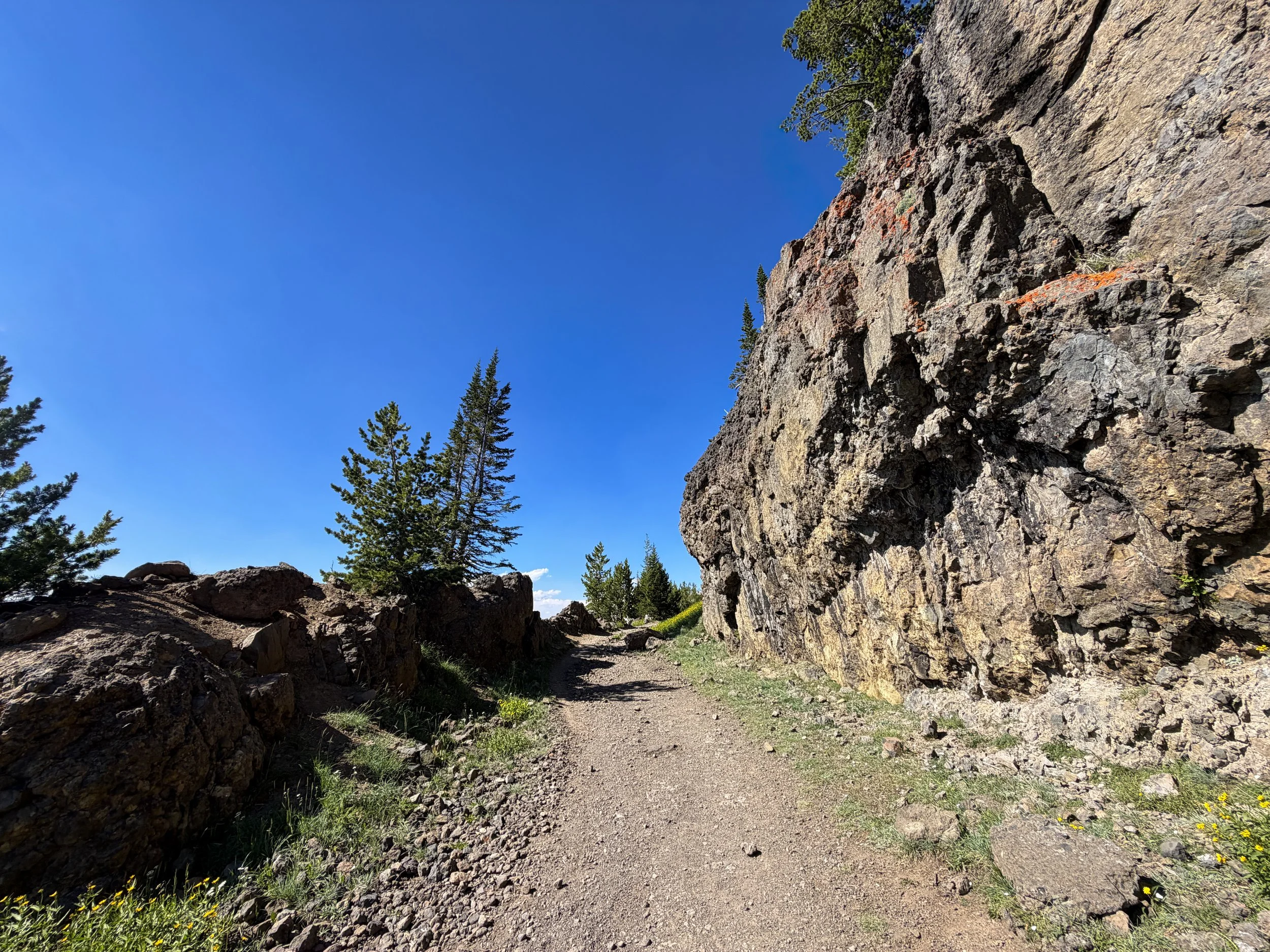 Mt. Washburn Hike via Dunraven Pass Yellowstone National Park Wyoming