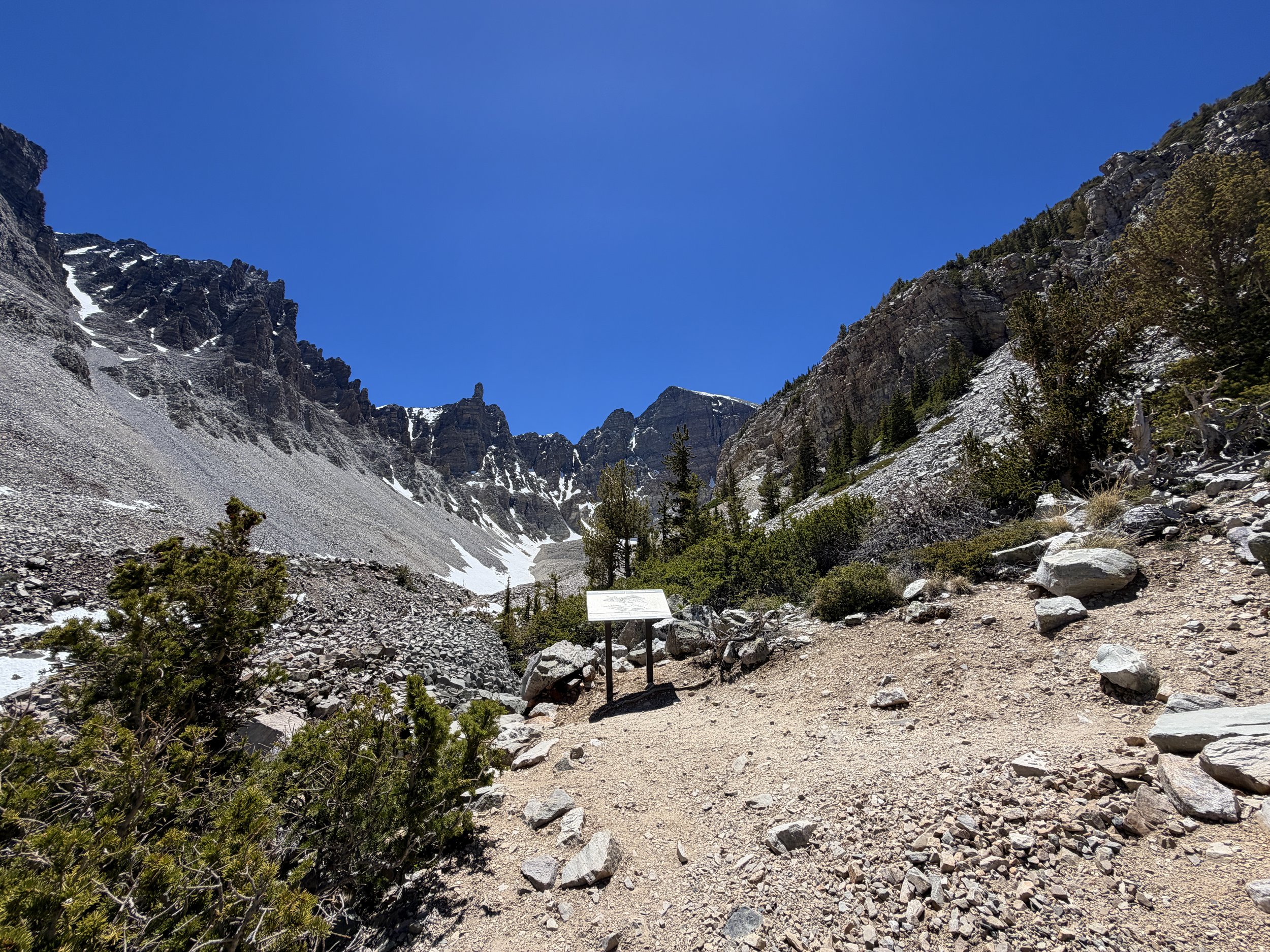 Glacier Trail Great Basin National Park Nevada