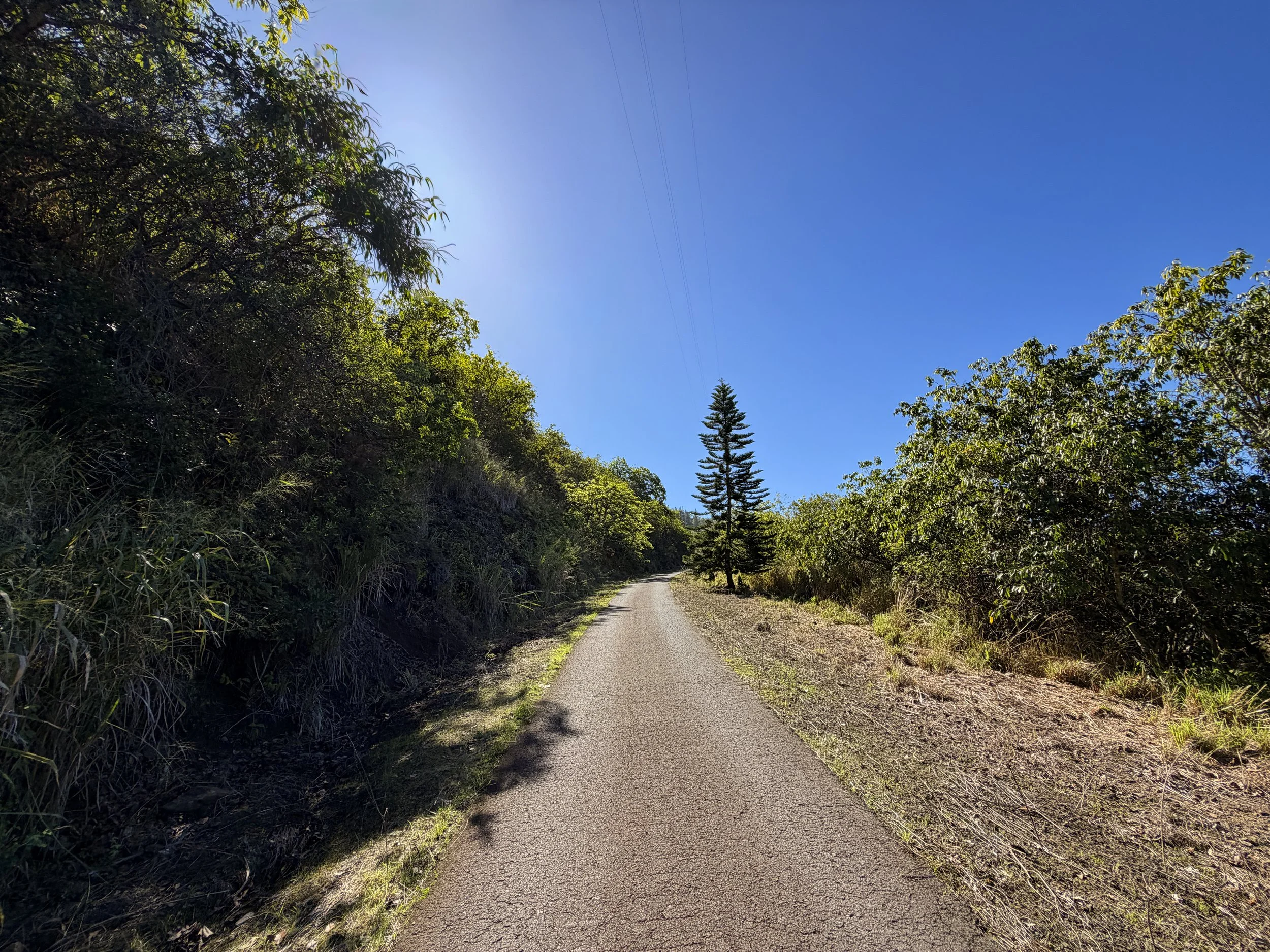 Mokuleia Firebreak Road Oahu Hawaii