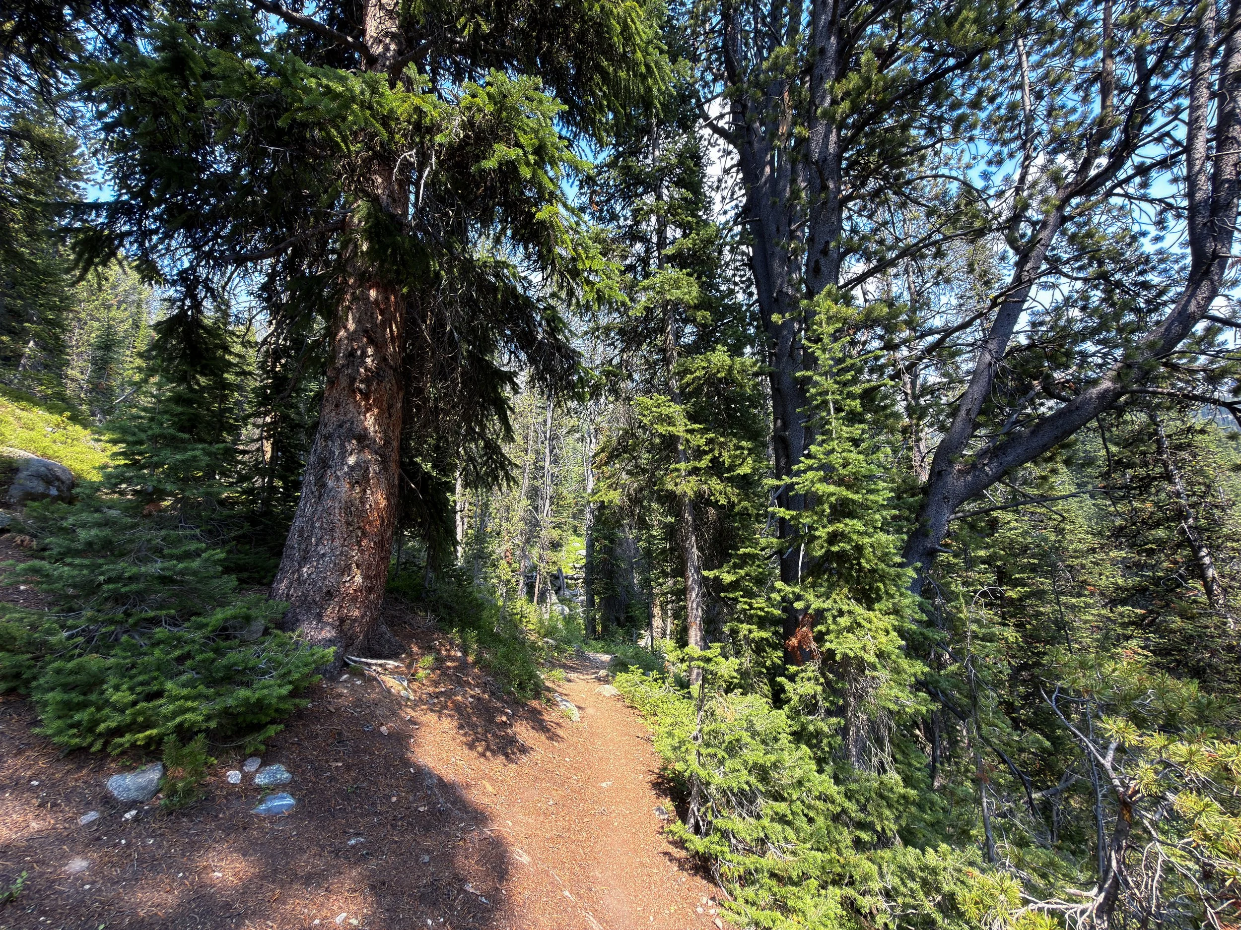 Russell Creek Trail The Beaten Path Beartooth Mountains Montana