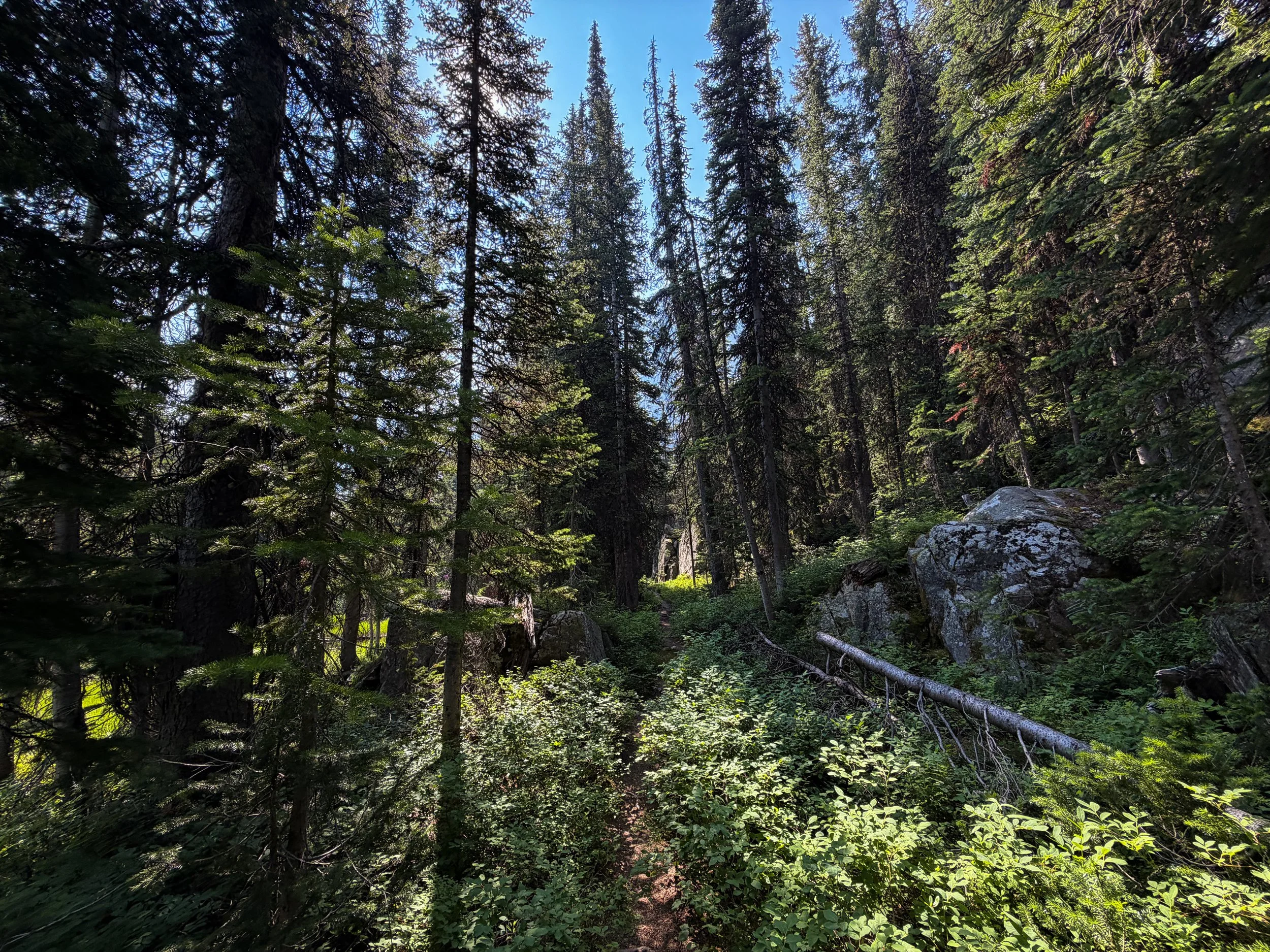 East Rosebud Trail The Beaten Path Beartooth Mountains Montana