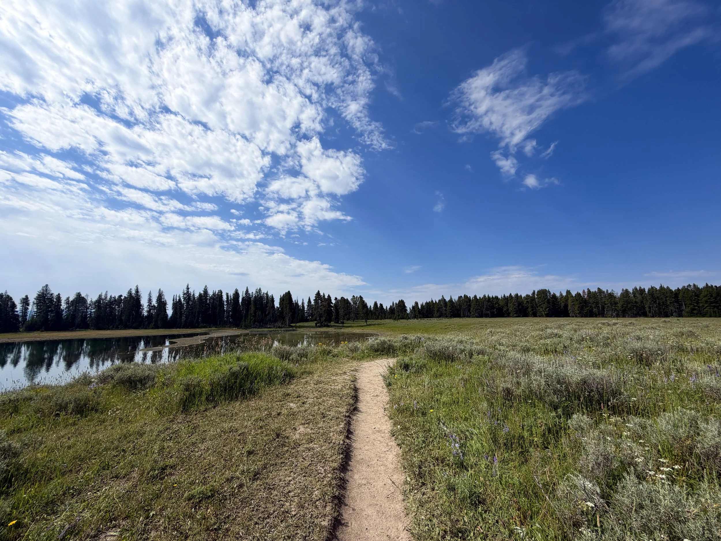 Storm Point Trail Yellowstone National Park Wyoming