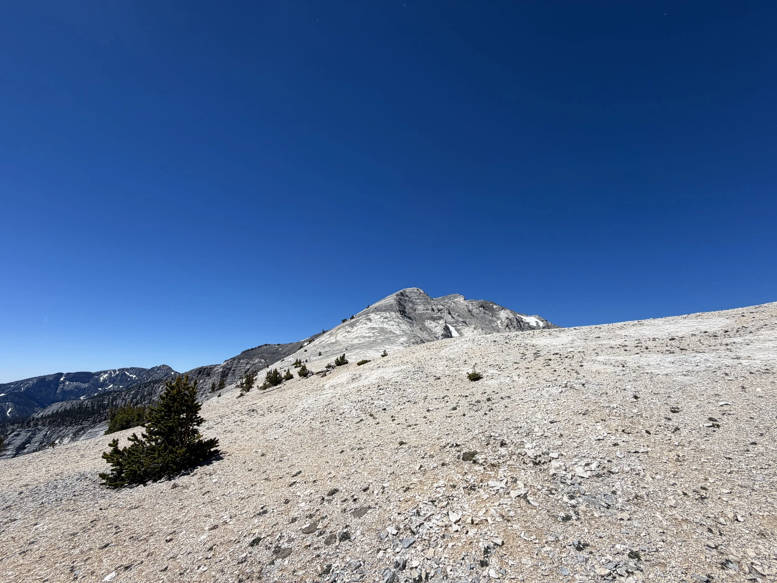 Snake Divide Trail to Mount Washington Great Basin National Park Nevada