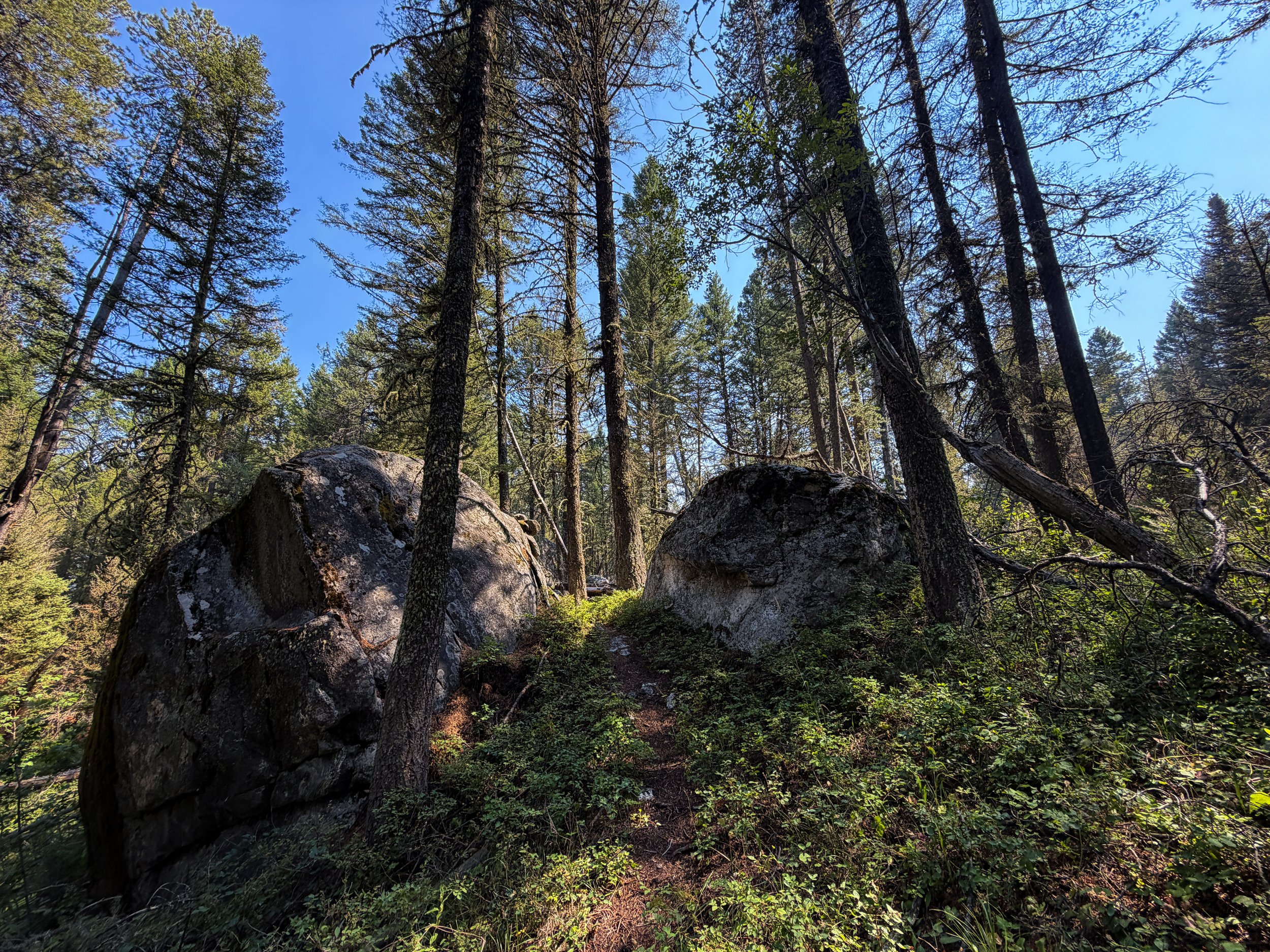 Boulder Field Trail Grand Teton National Park Wyoming