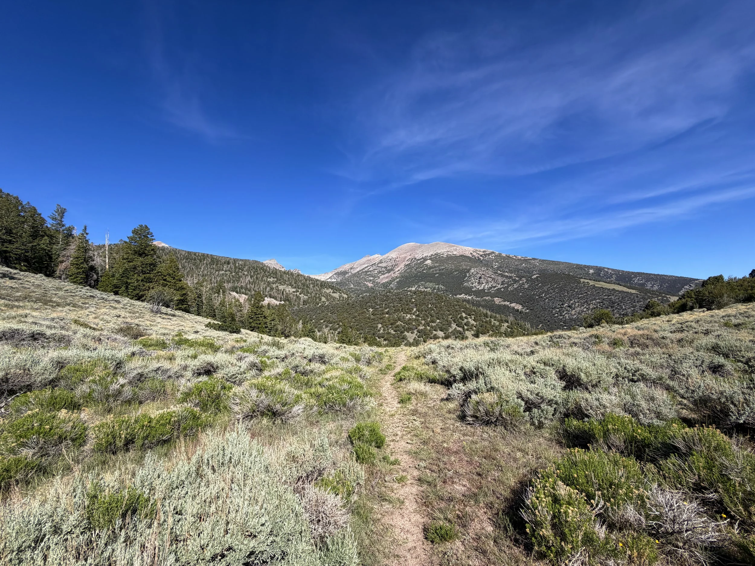 Pole Canyon Hike Great Basin National Park Nevada