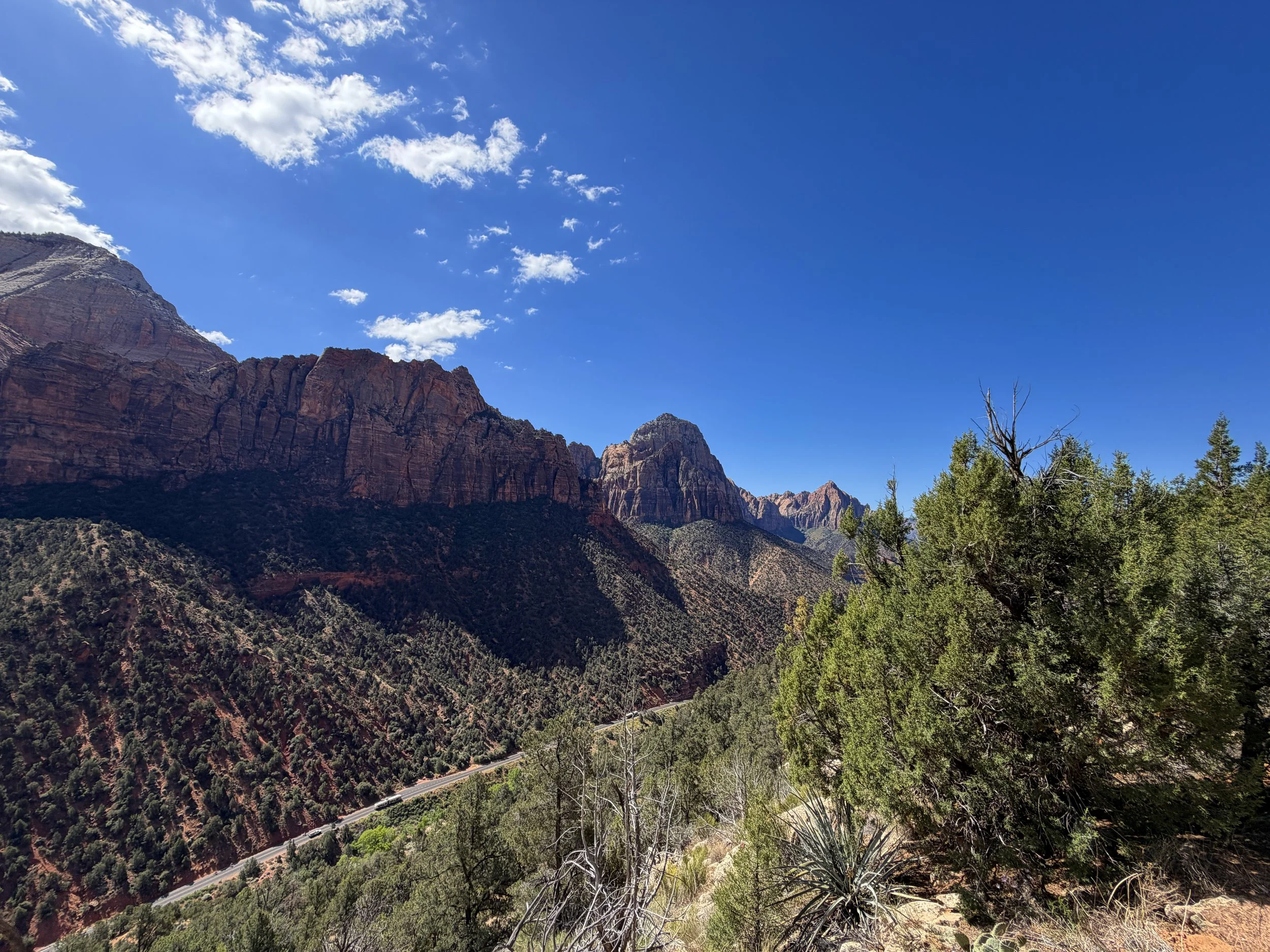 Sand Bench Loop Trail Zion National Park Utah