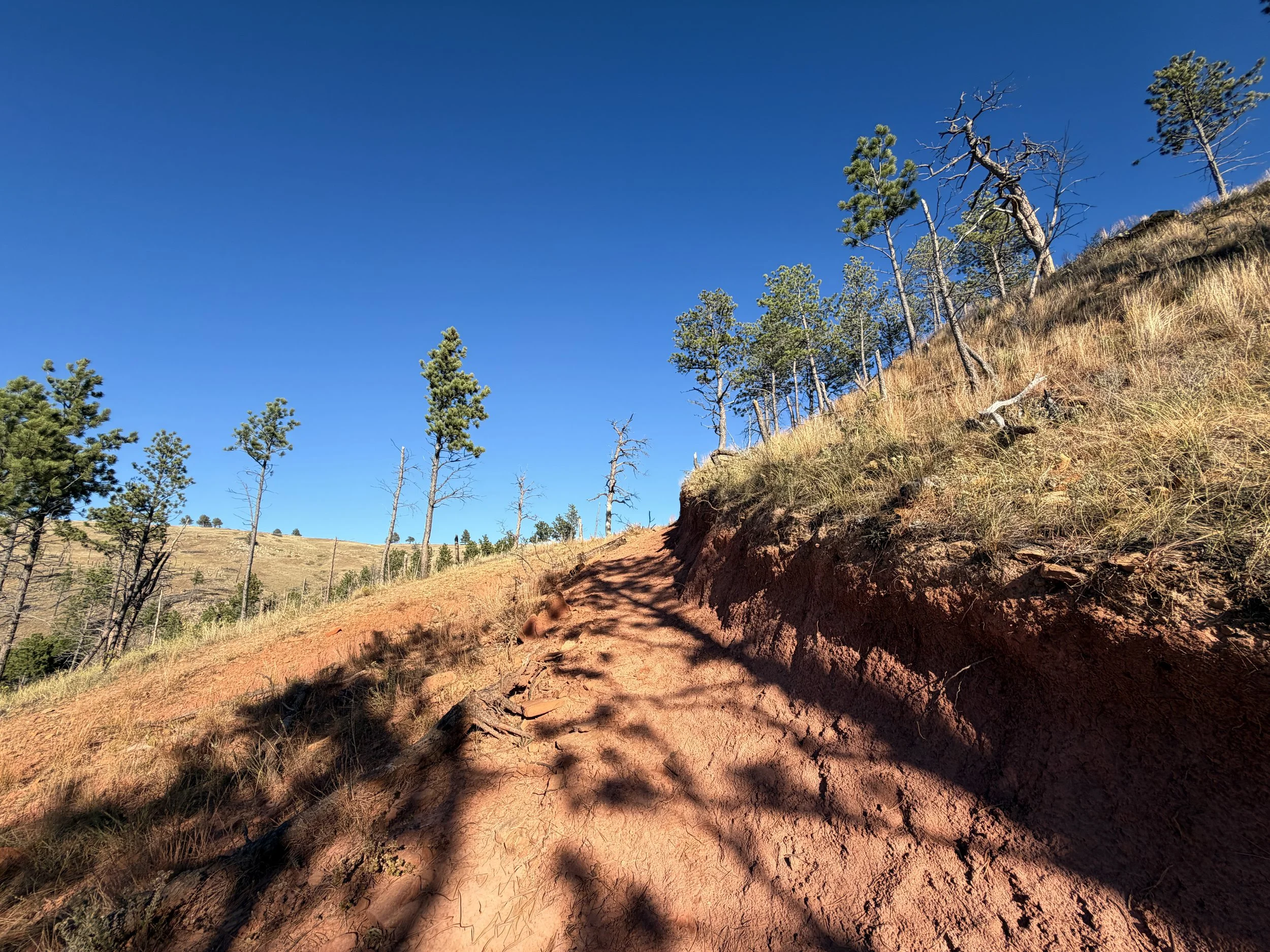 Boland Ridge Hike Wind Cave National Park South Dakota
