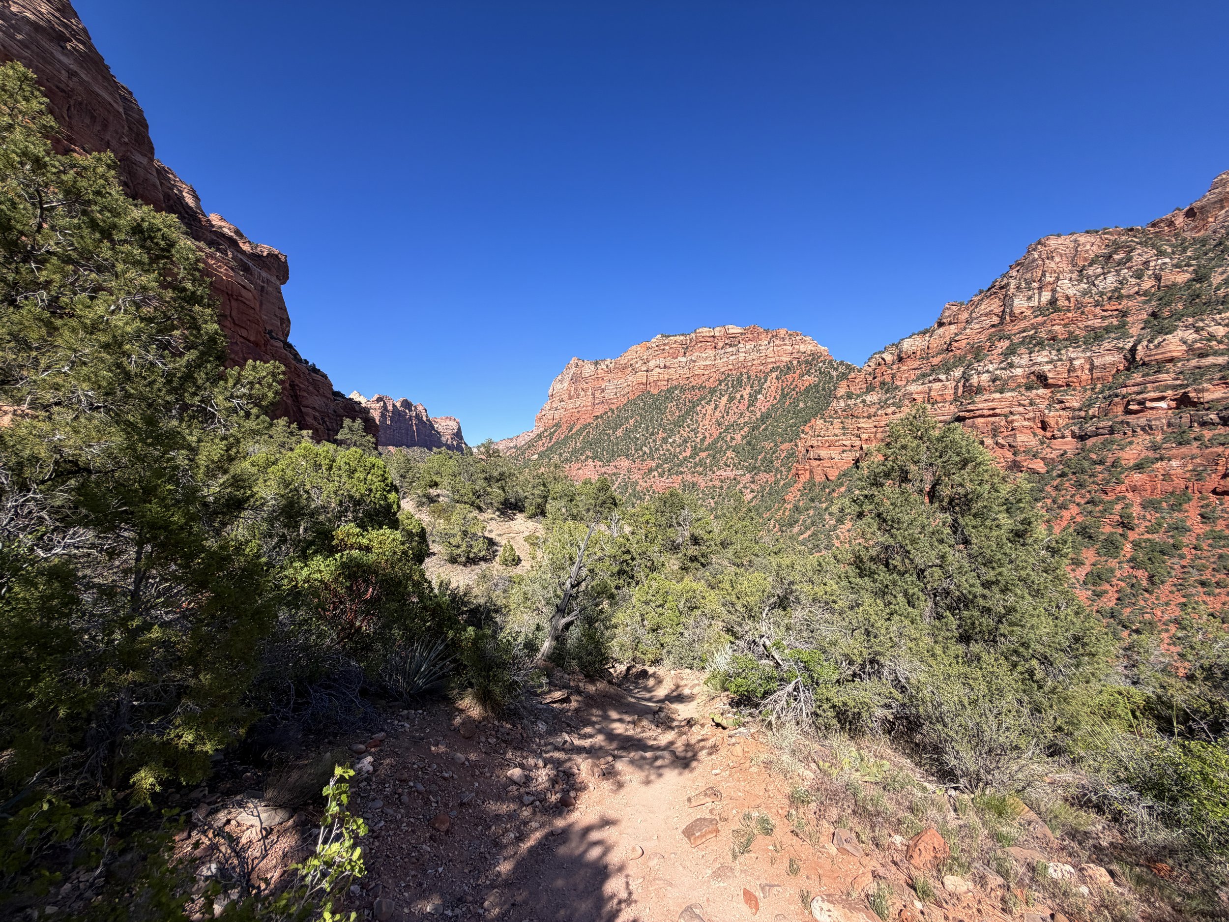 Left Fork Trail to the Subway Zion National Park Utah
