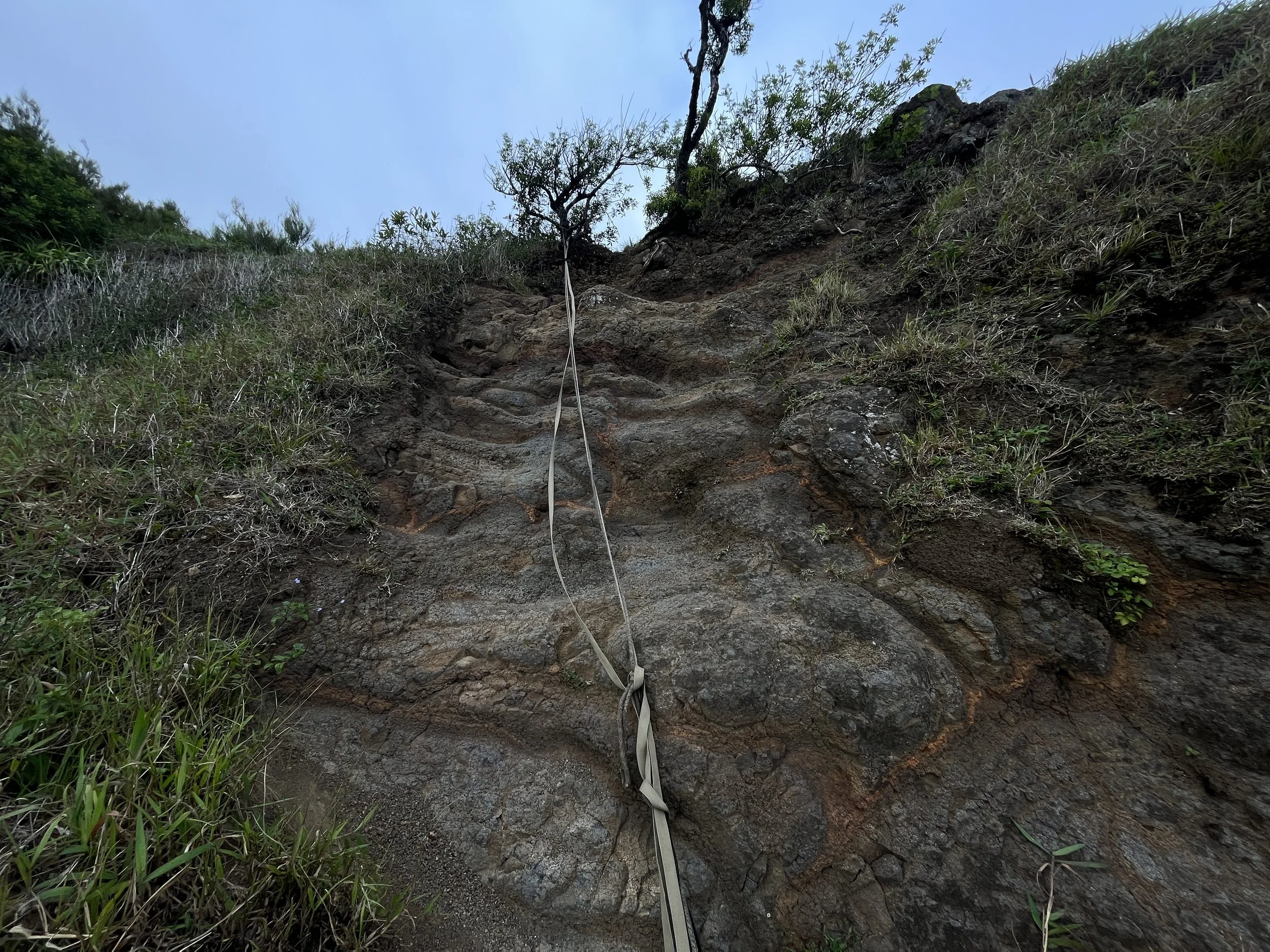 Hiking the Puʻu ʻO Kona Trail via Kuliʻouʻou Valley on Oʻahu — noahawaii