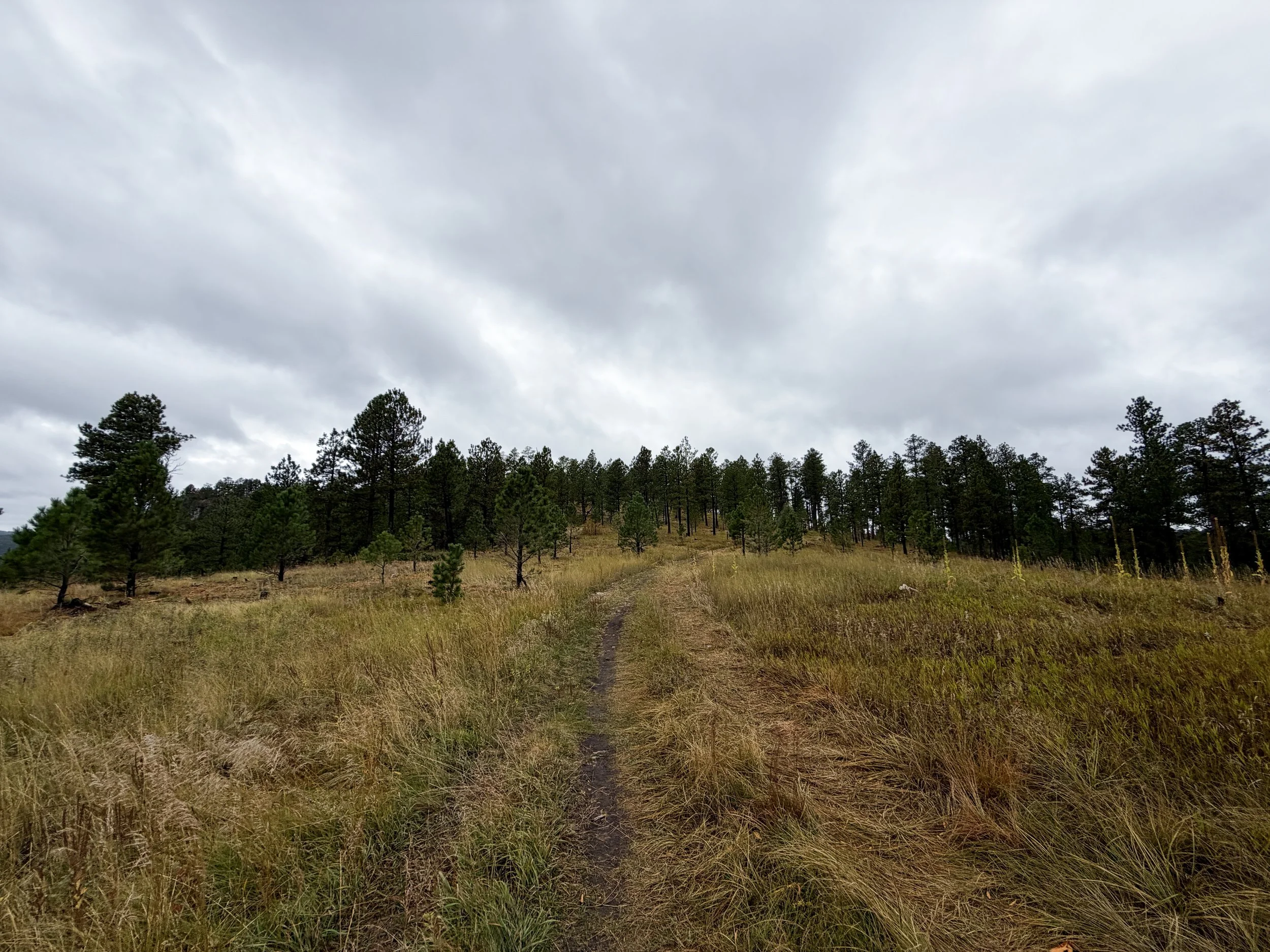 Buzzards Roost Hike Black Hills Rapid City South Dakota
