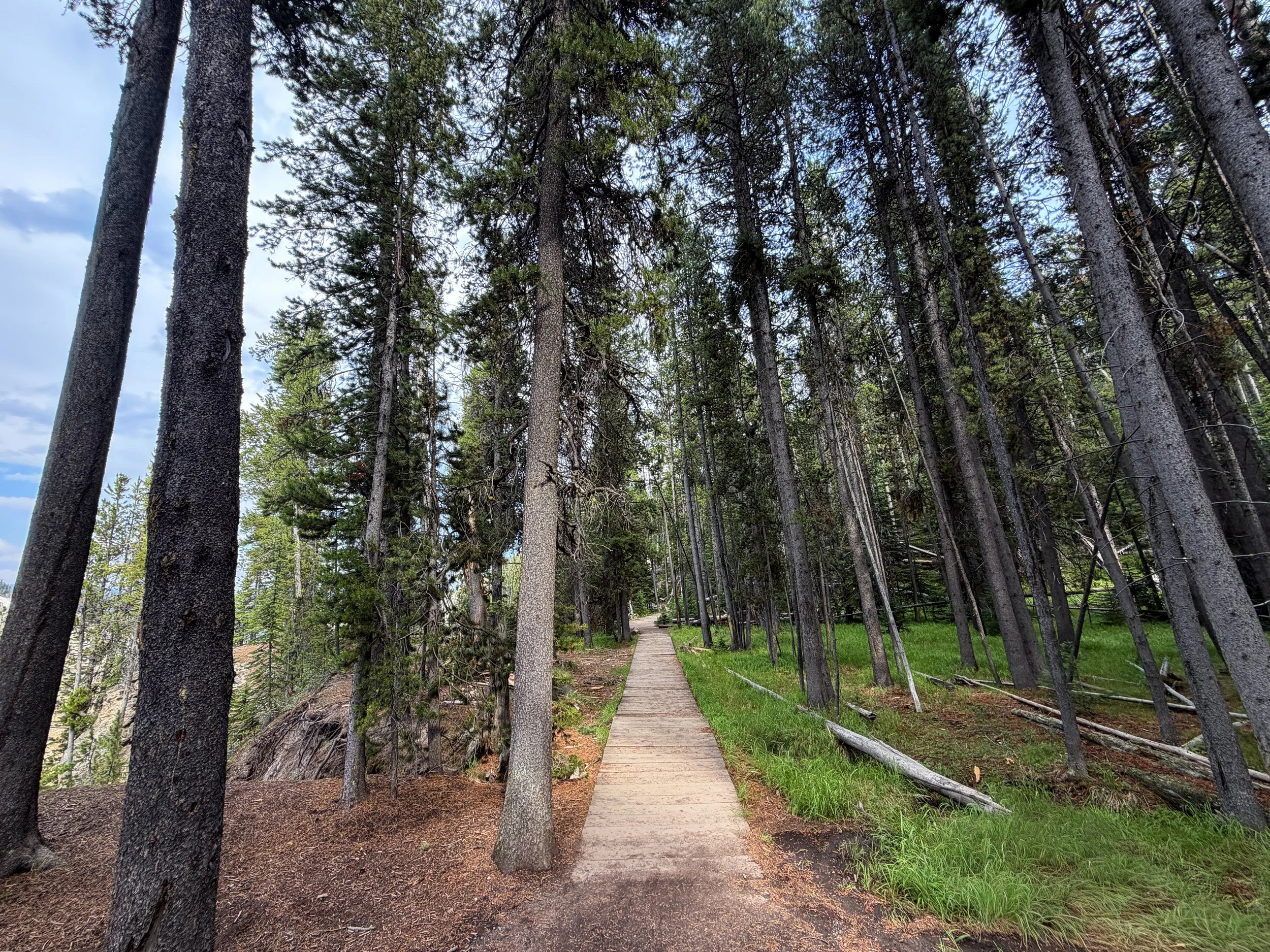 South Rim Trail Yellowstone National Park Wyoming