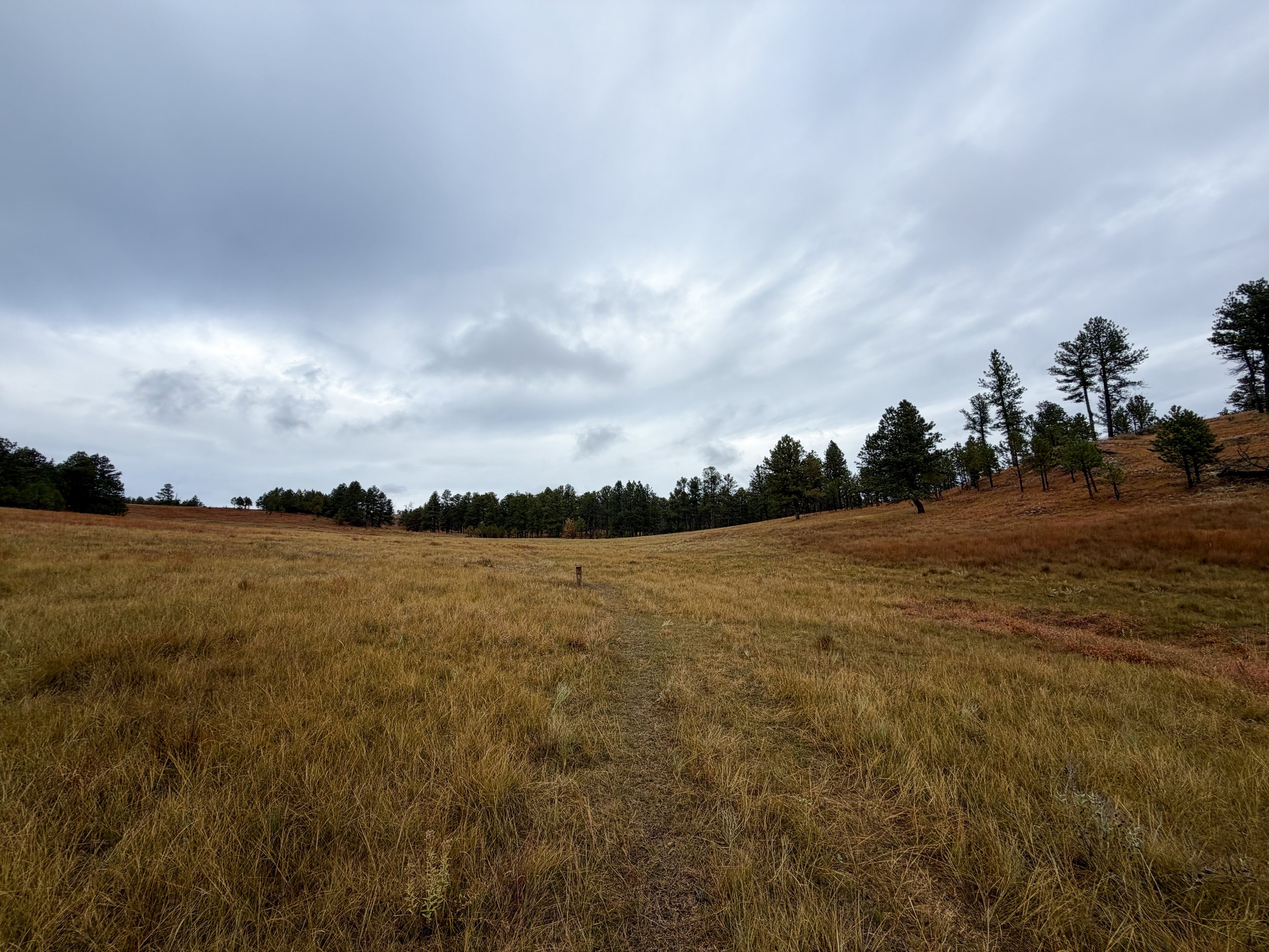 Highland Creek Trail to Wind Cave Canyon Wind Cave National Park South Dakota