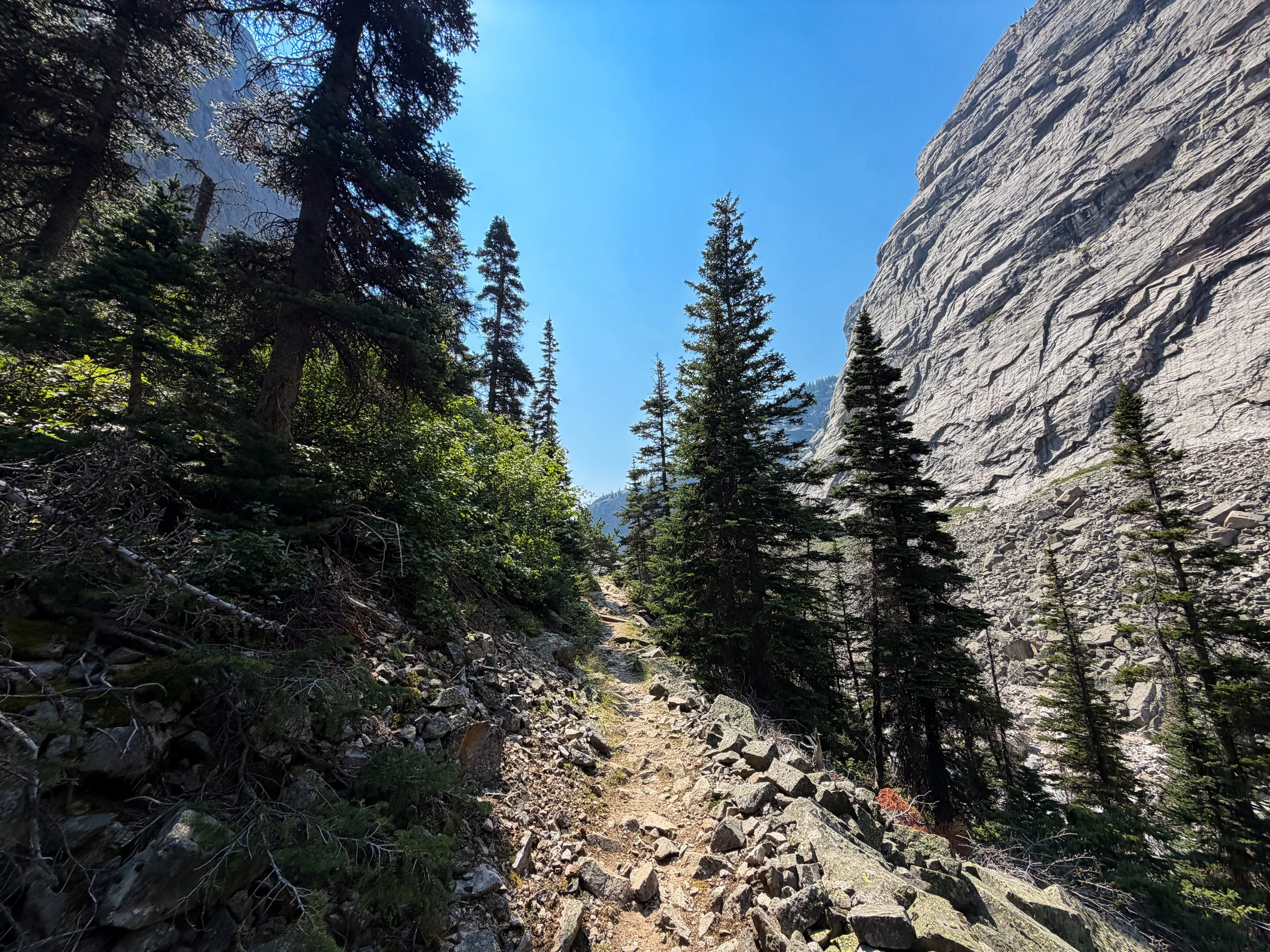 East Rosebud Trail Beaten Path Beartooth Mountains Montana