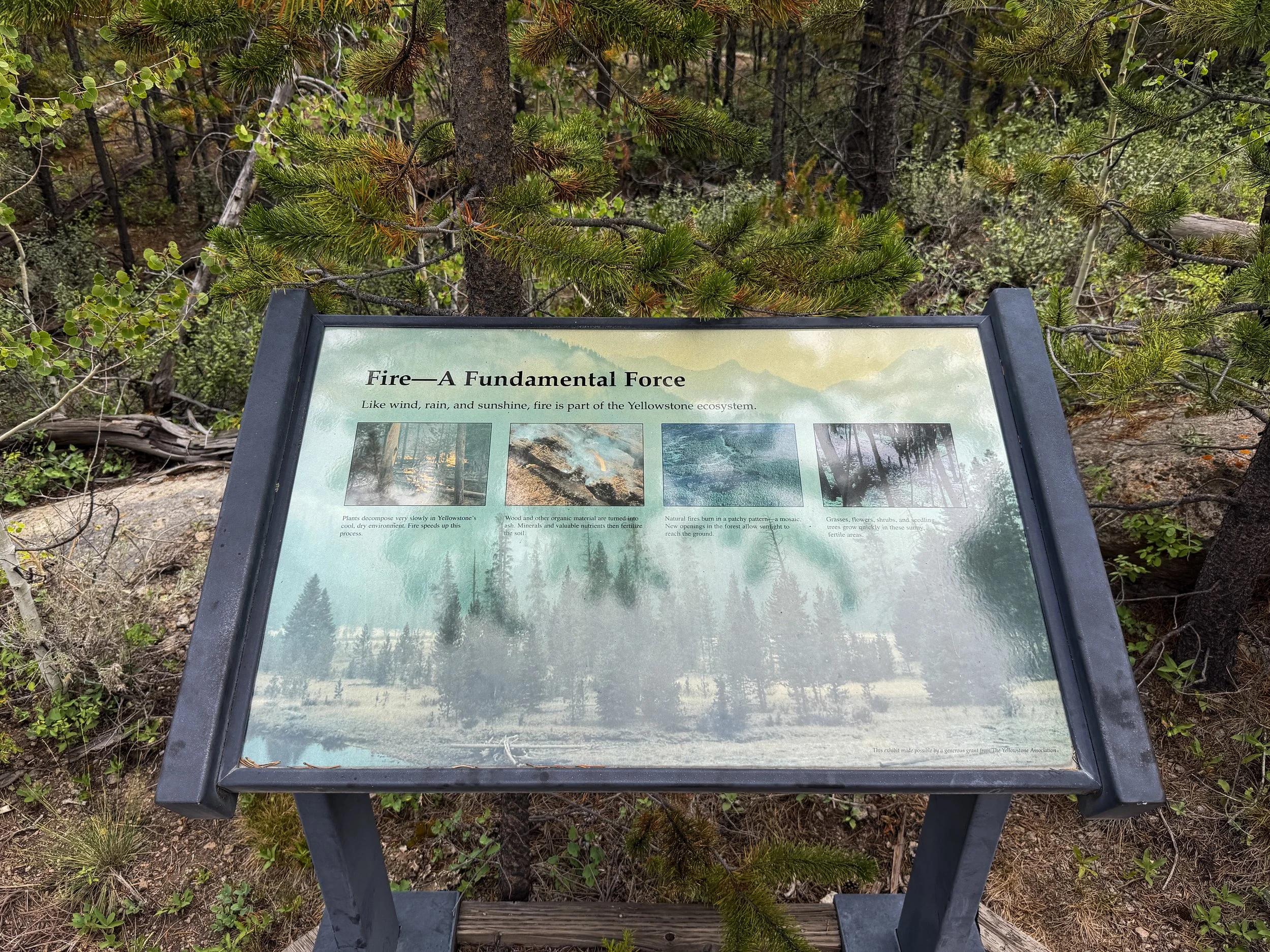 Forces of the Northern Range Hike Yellowstone National Park Wyoming