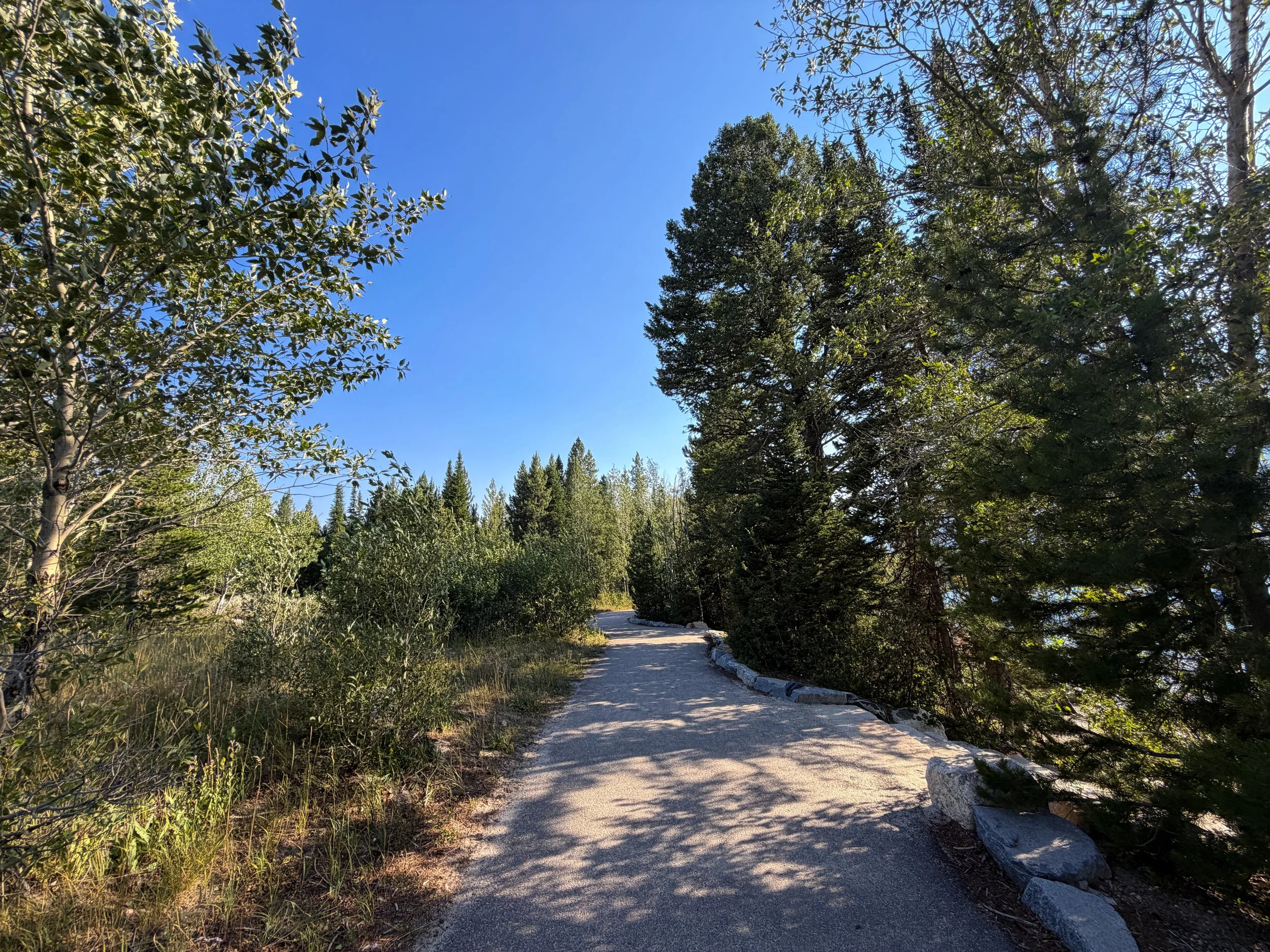 Jenny Lake Trail Grand Teton National Park Wyoming