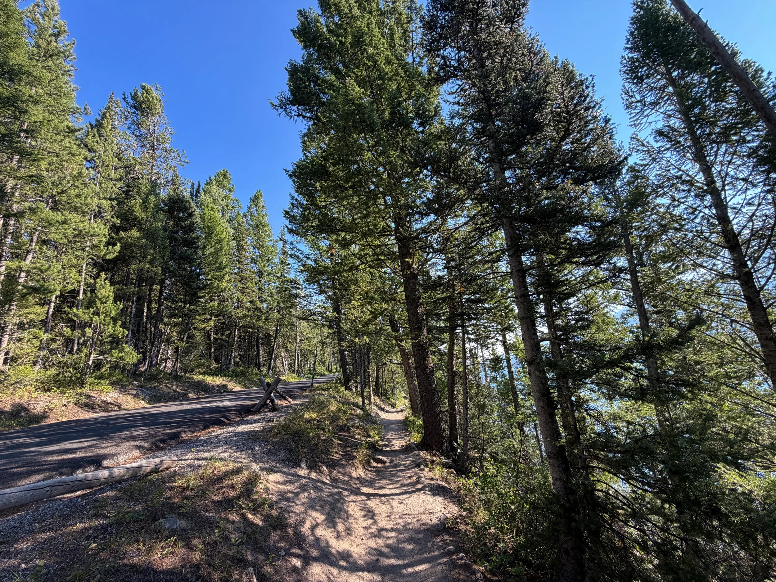 Jenny Lake Loop Trail Grand Teton National Park Wyoming