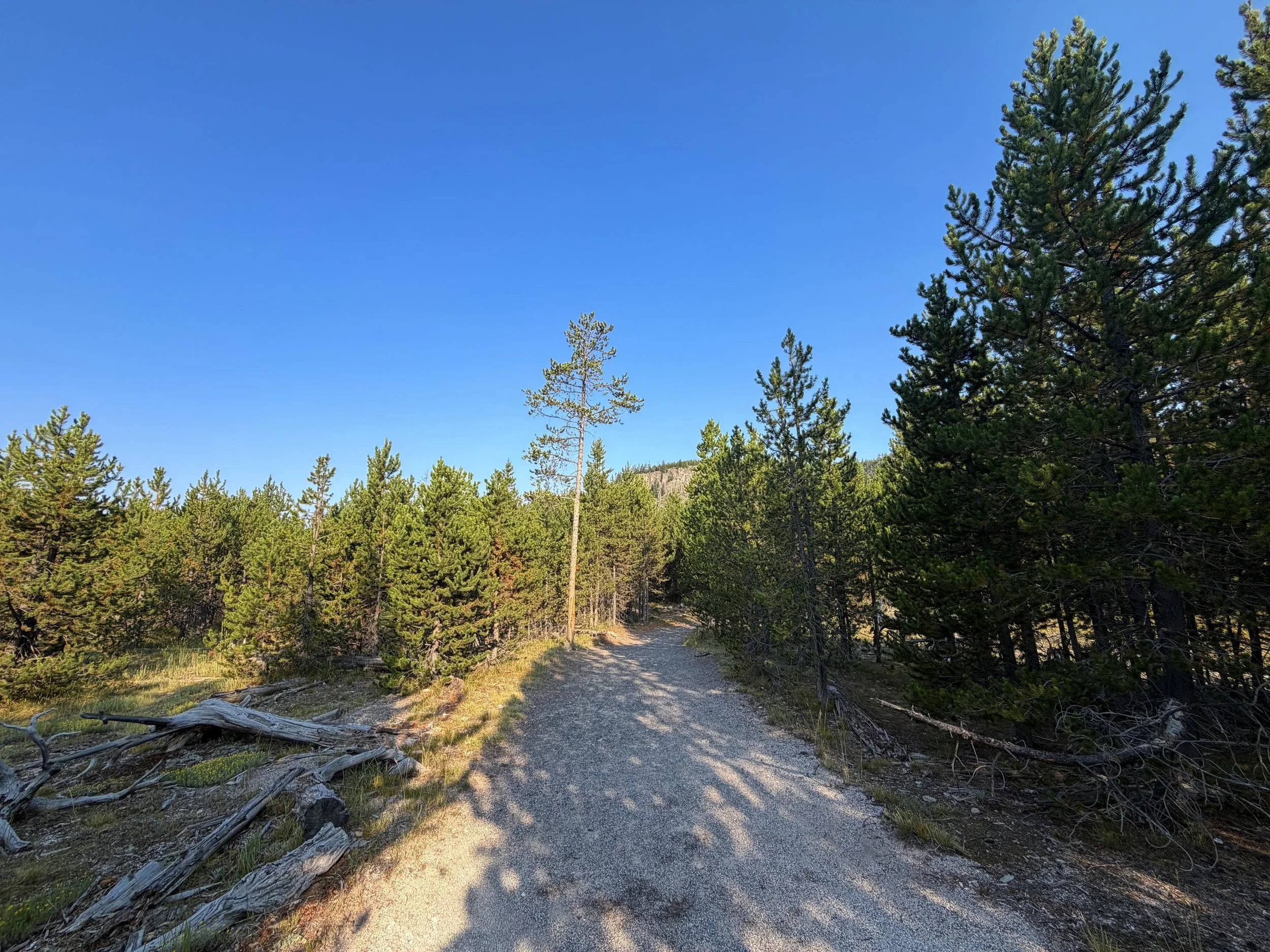 Mystic Falls Hike Yellowstone National Park Wyoming