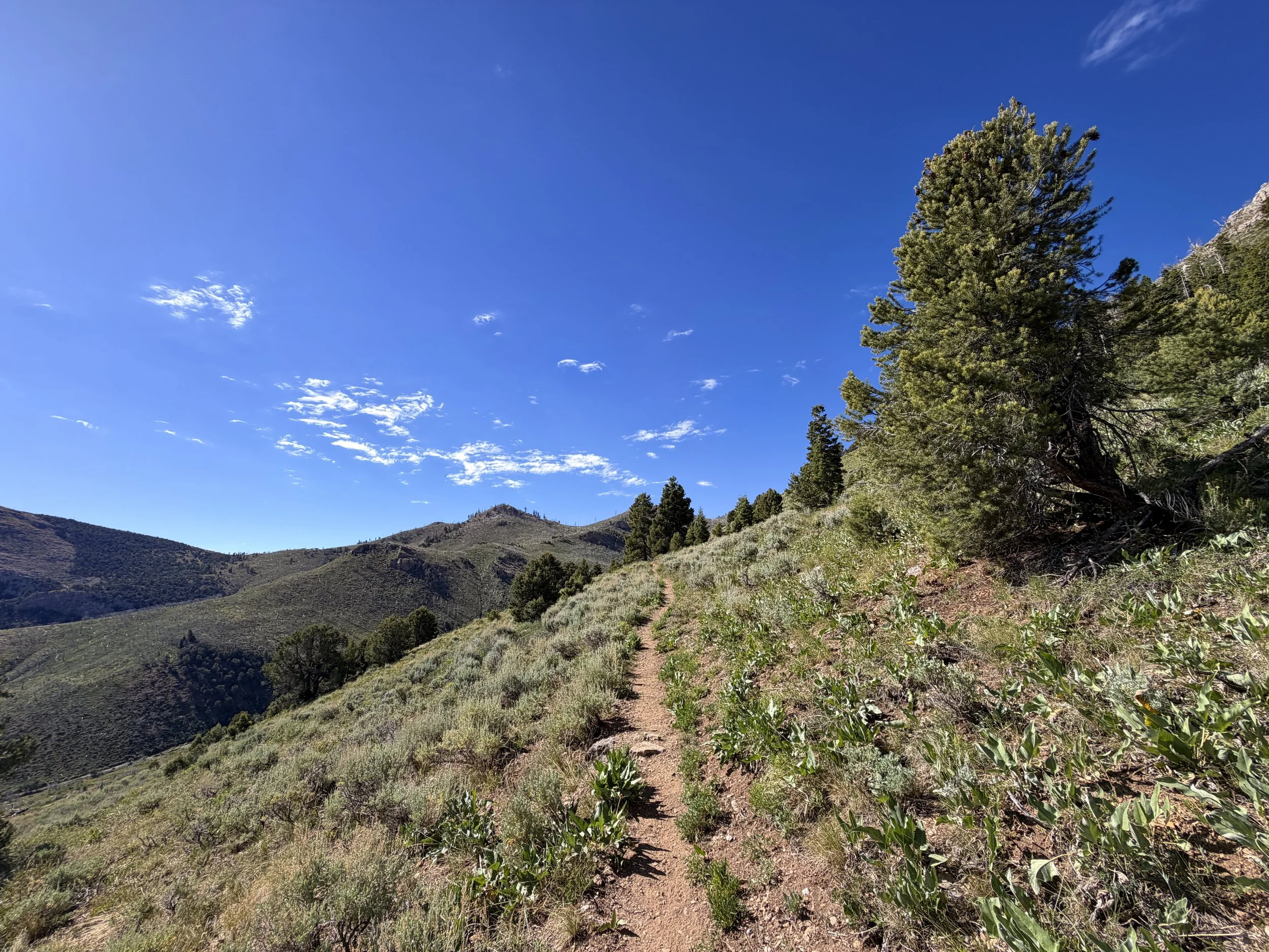 Lexington Arch Trail Great Basin National Park Nevada