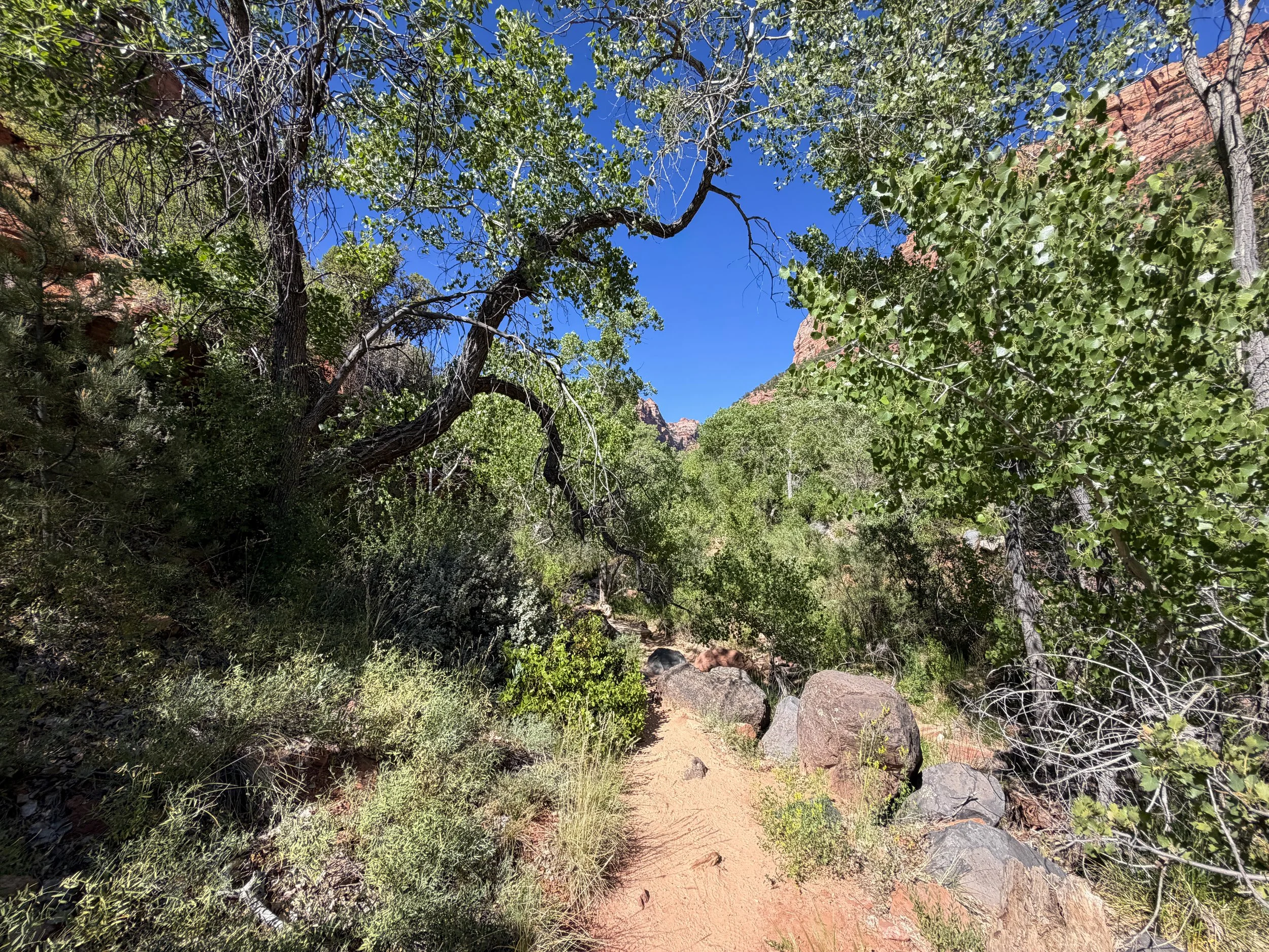 Subway Trail Bottom Up Route Zion National Park Utah