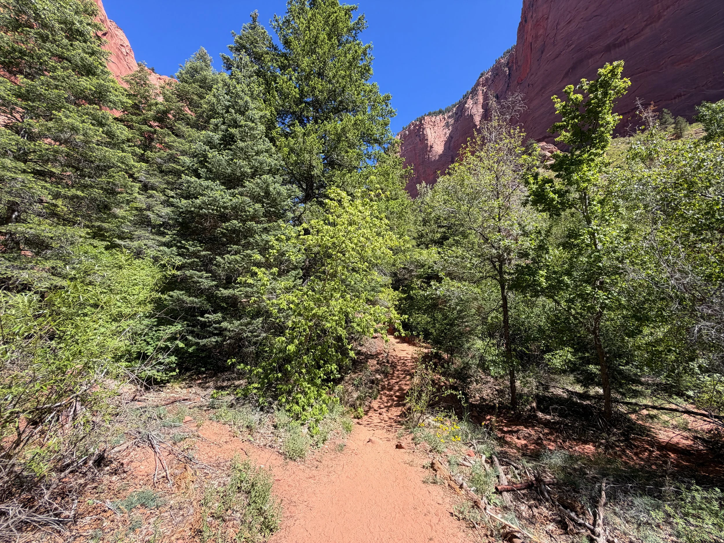 Taylor Creek Trail Zion National Park Utah
