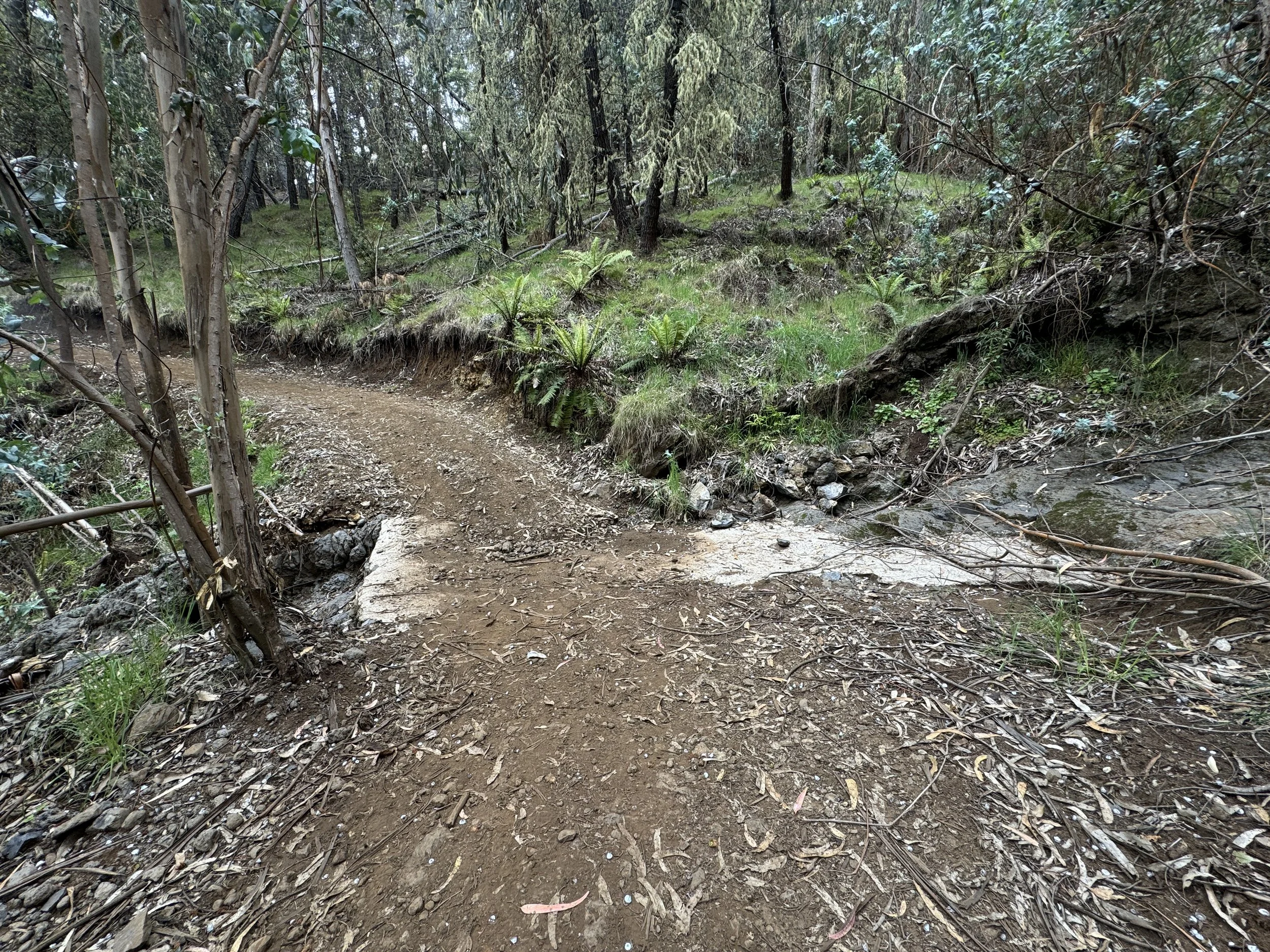 Hiking the Waiakoa Loop Trail on Maui, Hawaiʻi — noahawaii
