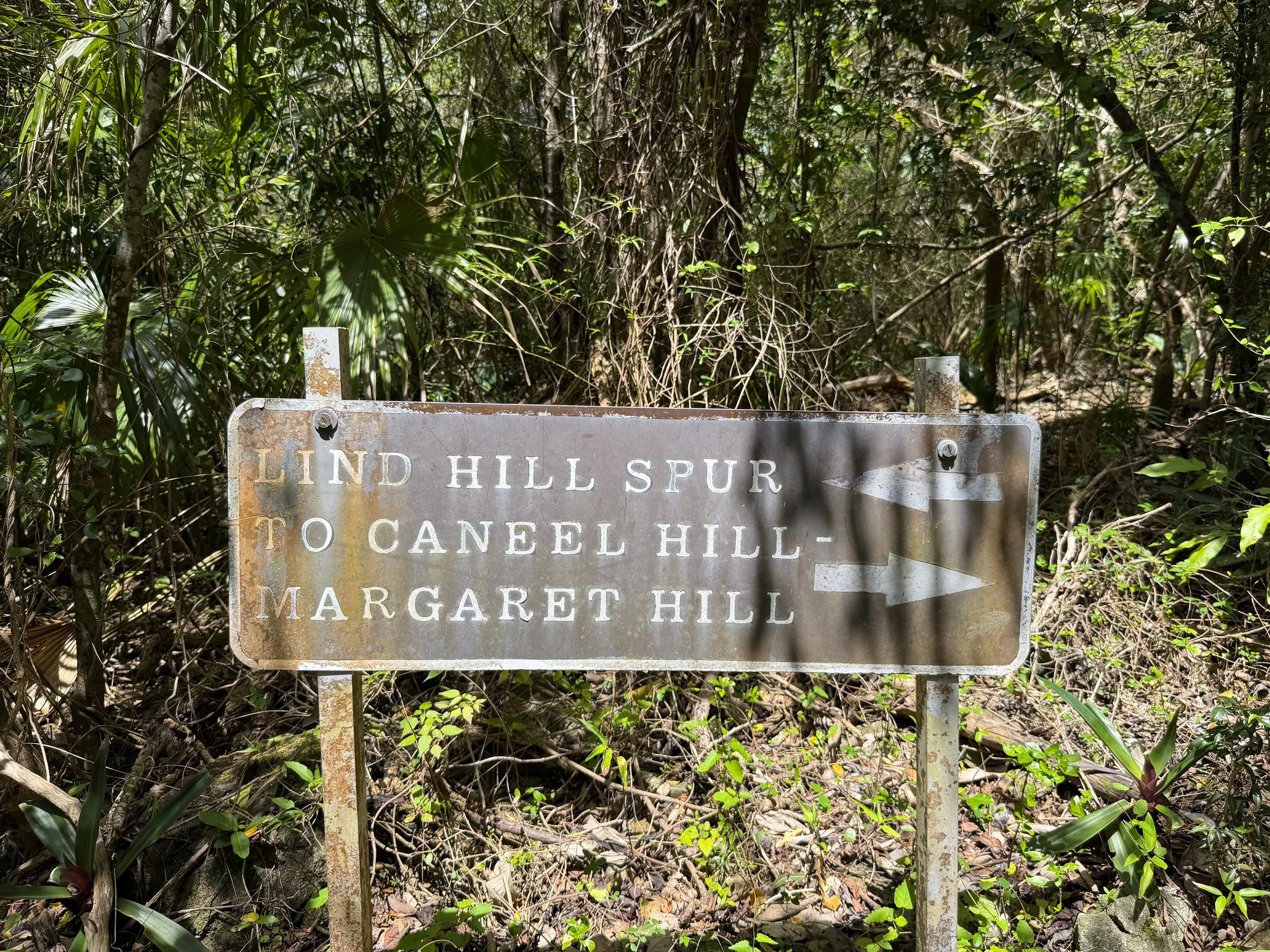 Caneel Hill Trail Virgin Islands National Park