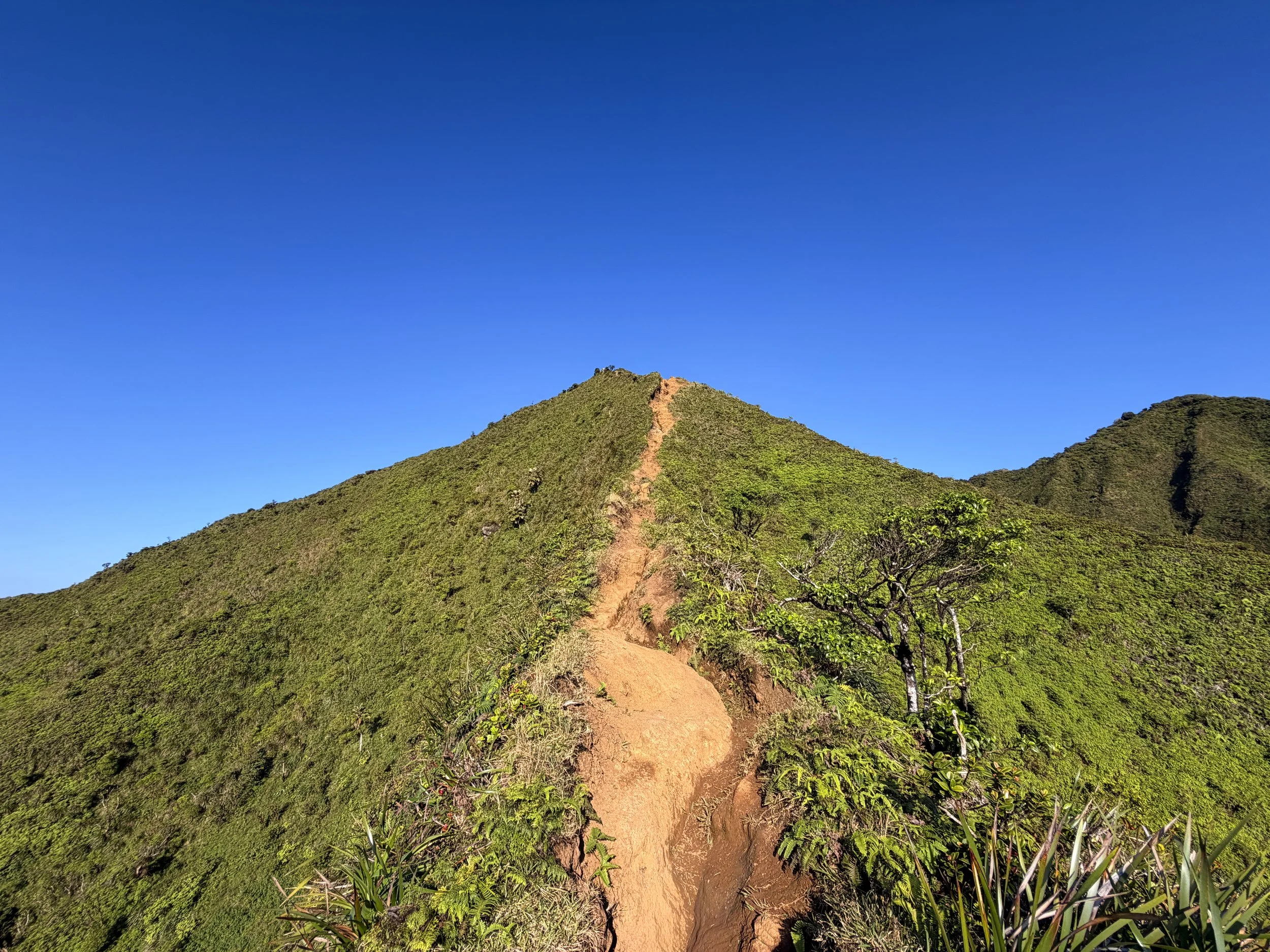 Moanalua Middle Ridge Trail Back Way to Stairway to Heaven Oahu Hawaii