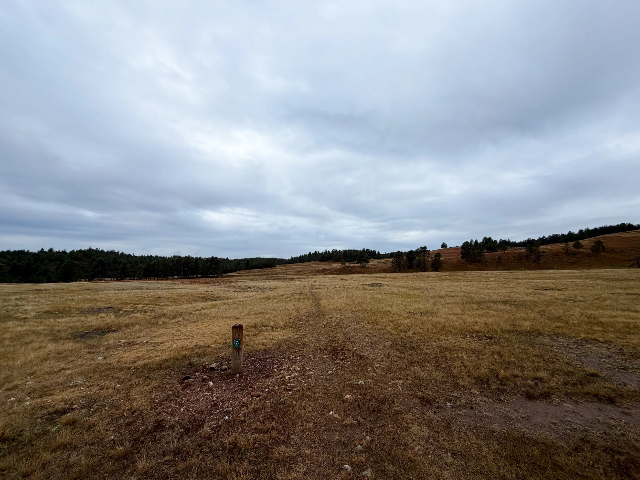 Highland Creek Trail Wind Cave National Park South Dakota