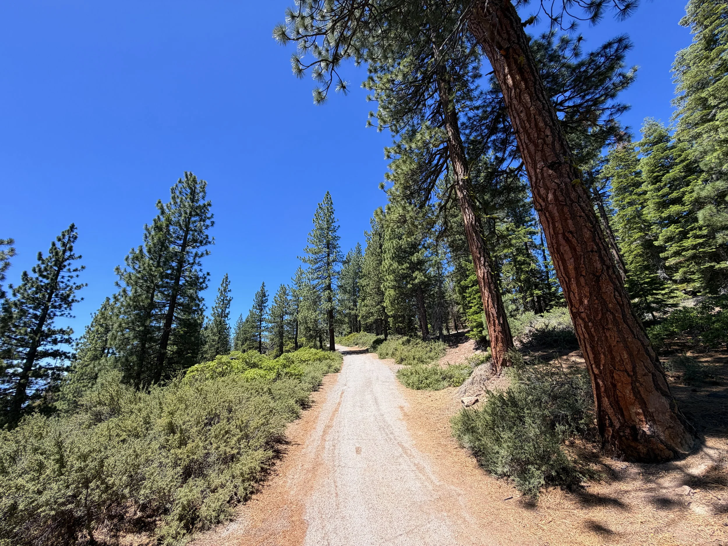 Stateline Lookout Trail Lake Tahoe California