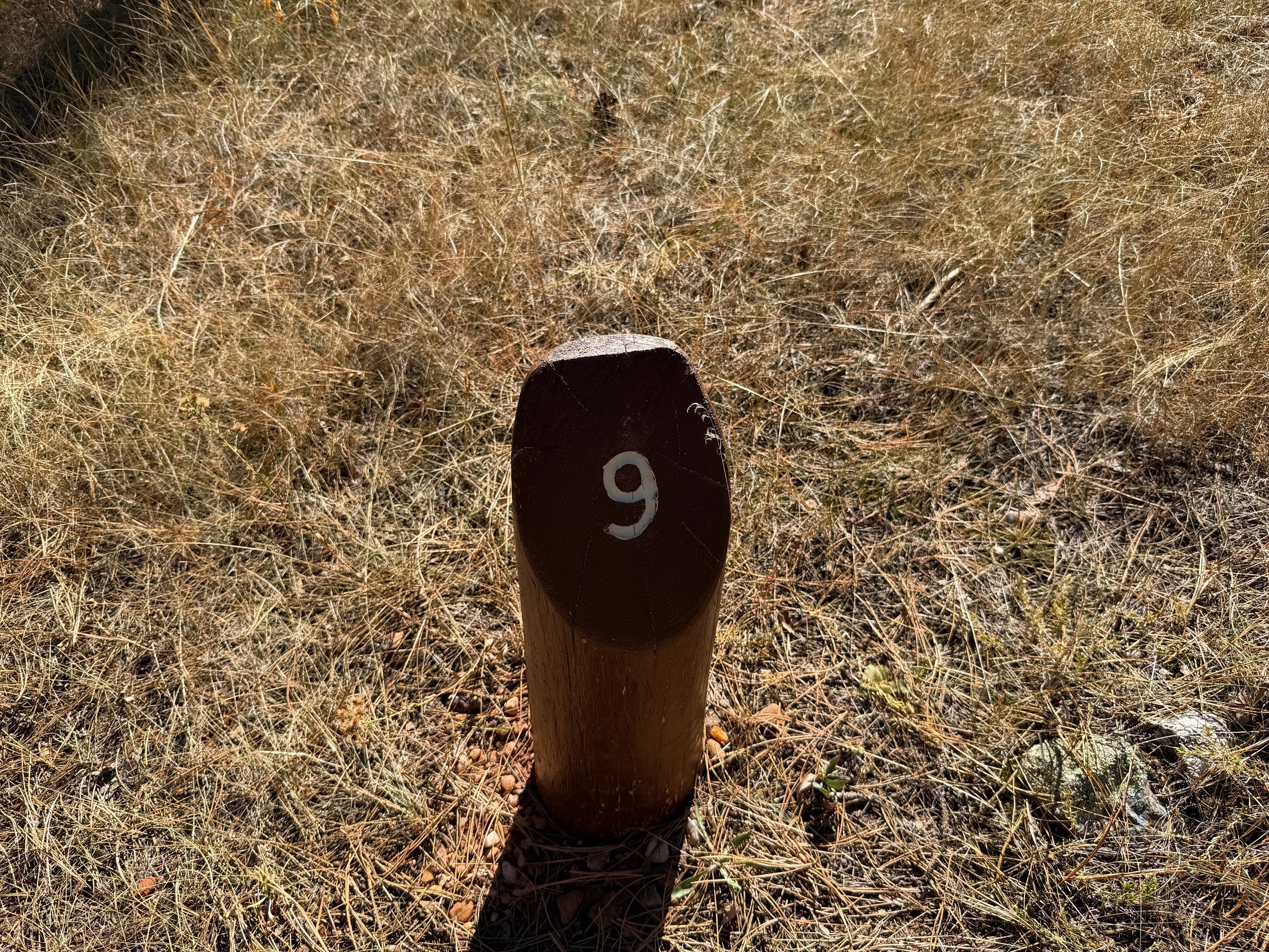 Elk Mountain Nature Trail Wind Cave National Park South Dakota
