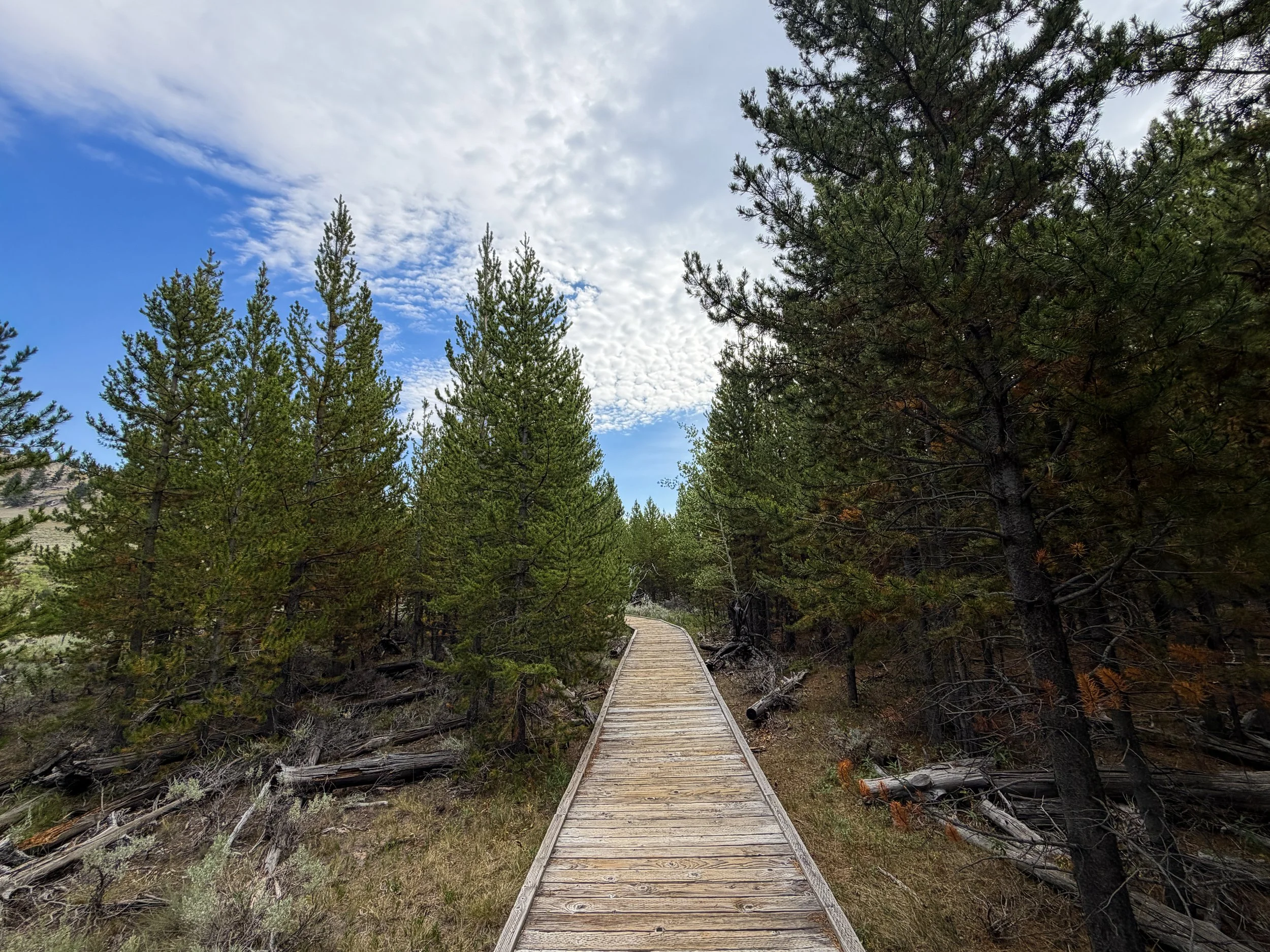 Forces of the Northern Range Trail Yellowstone National Park Wyoming