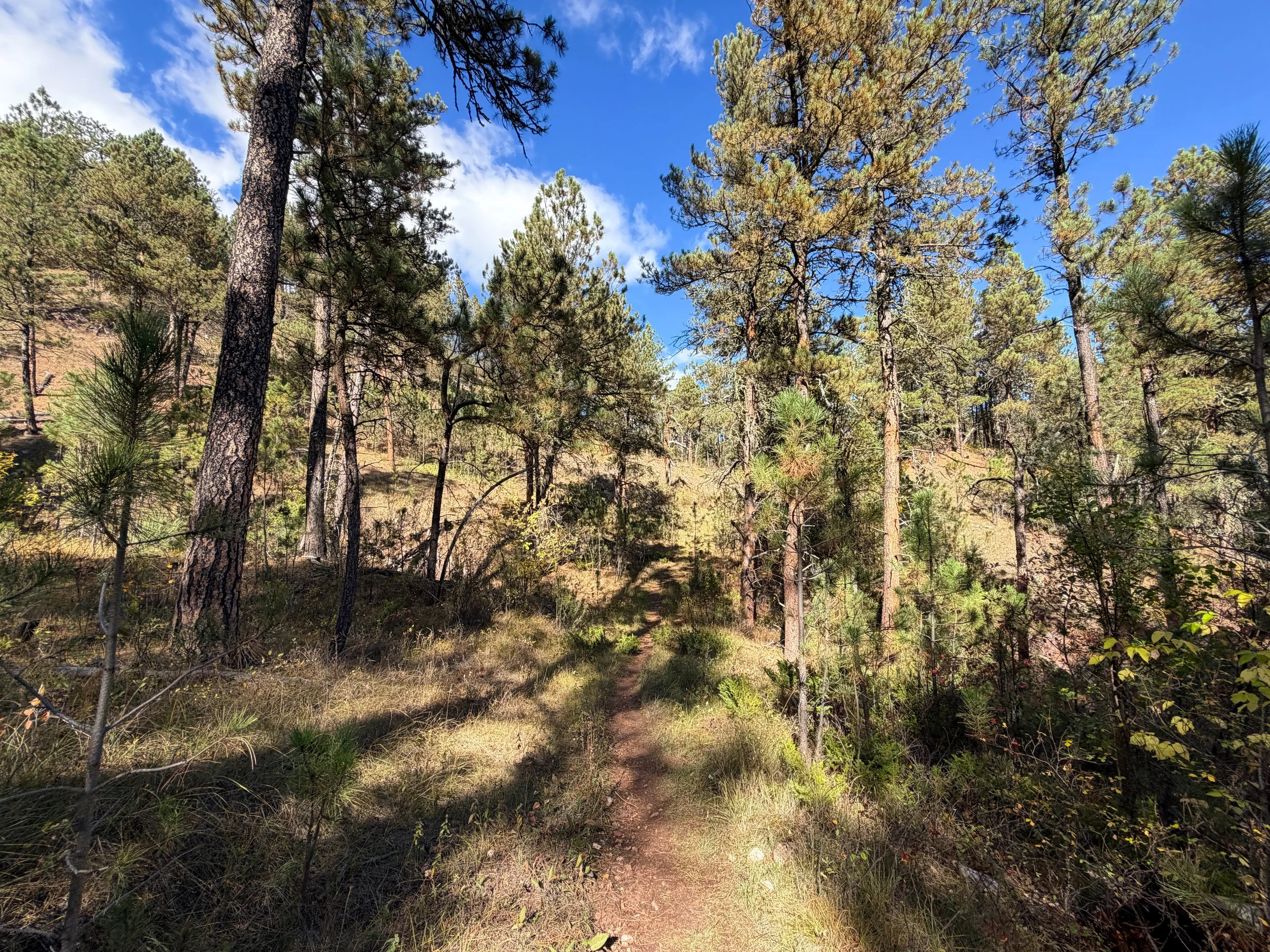 Lookout Point Loop Trail Wind Cave National Park South Dakota
