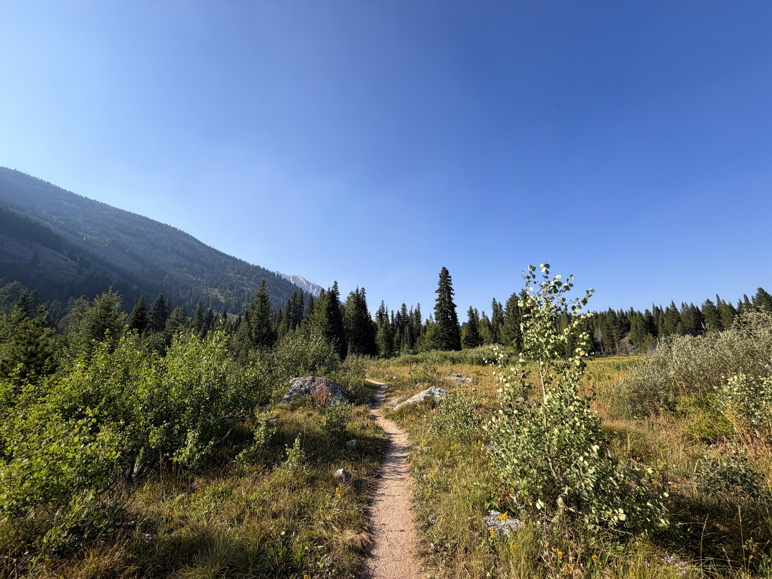 Moose Ponds Trail Grand Teton National Park Wyoming