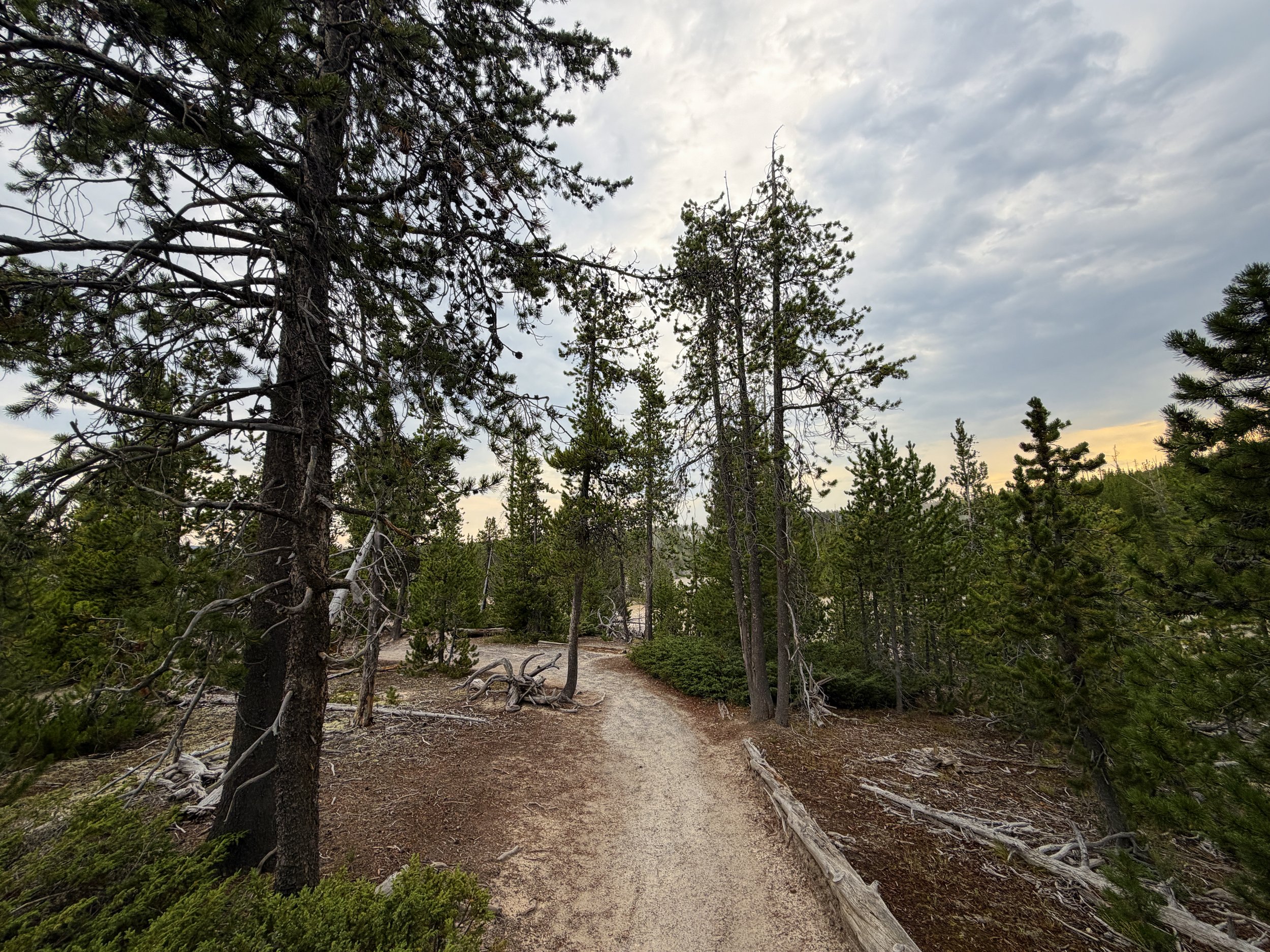 Back Basin Trail Yellowstone National Park Wyoming