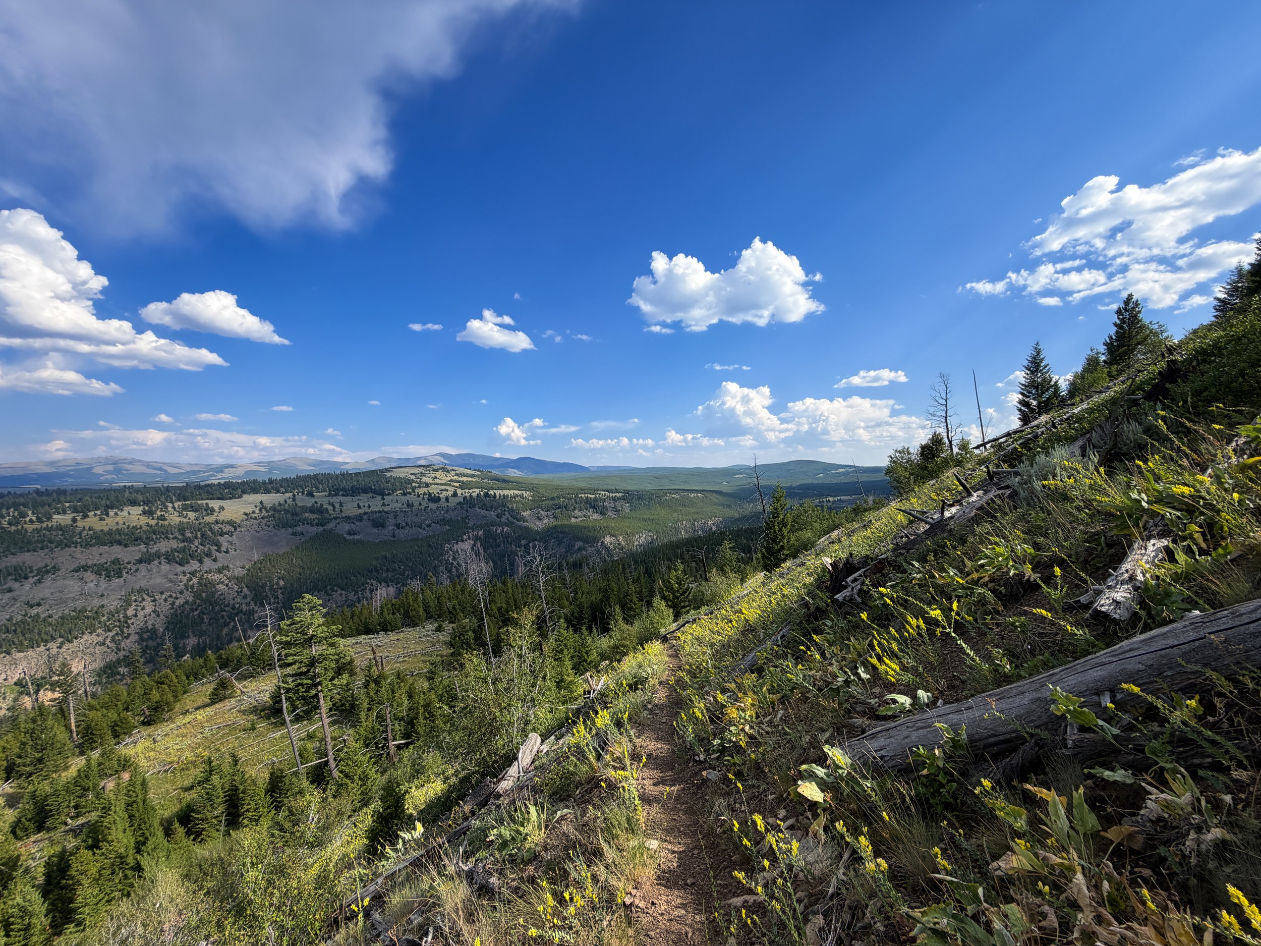 Bunsen Peak Trail Yellowstone National Park Wyoming