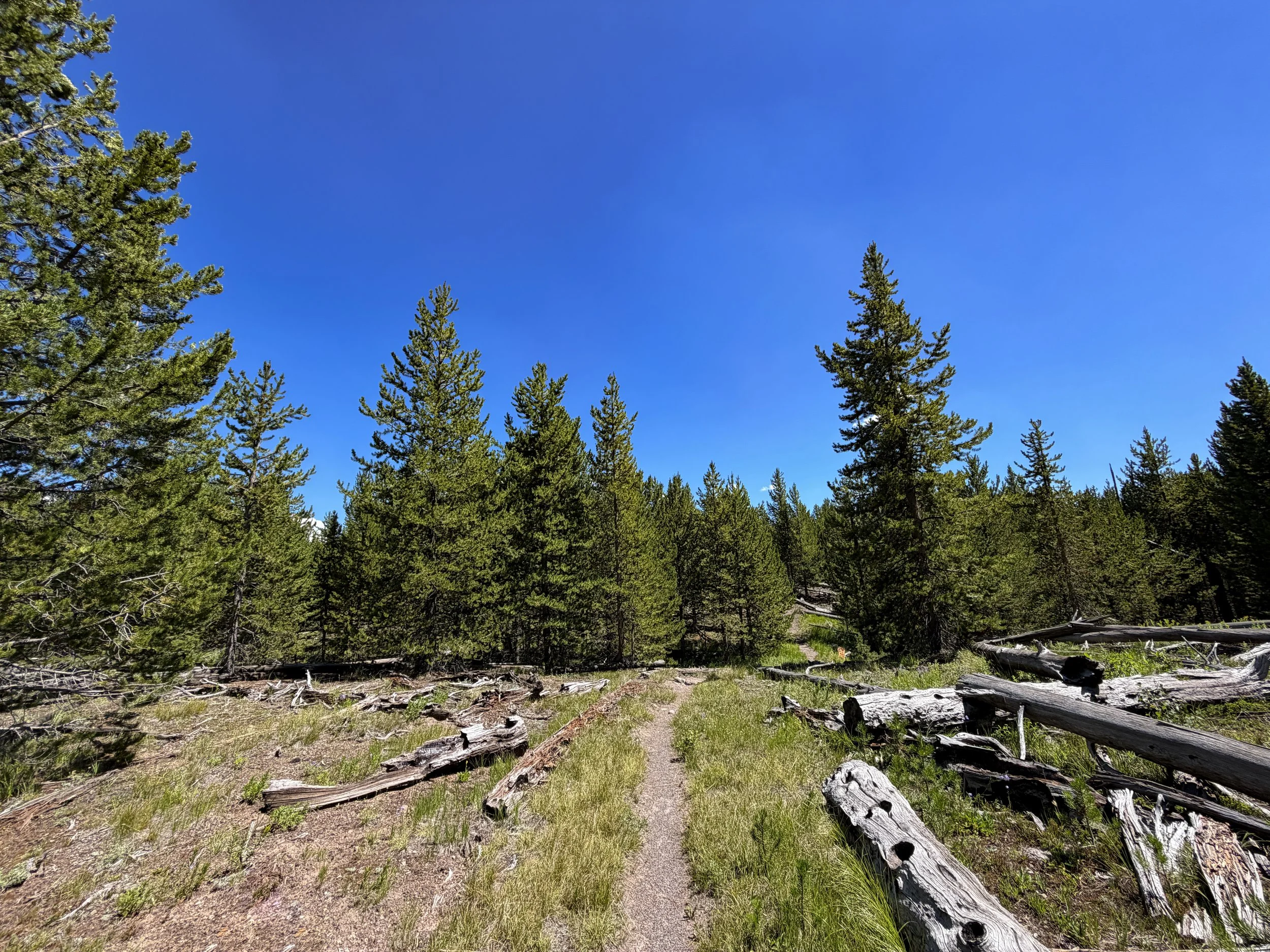 Fern Cascades Loop Trail Yellowstone National Park Wyoming