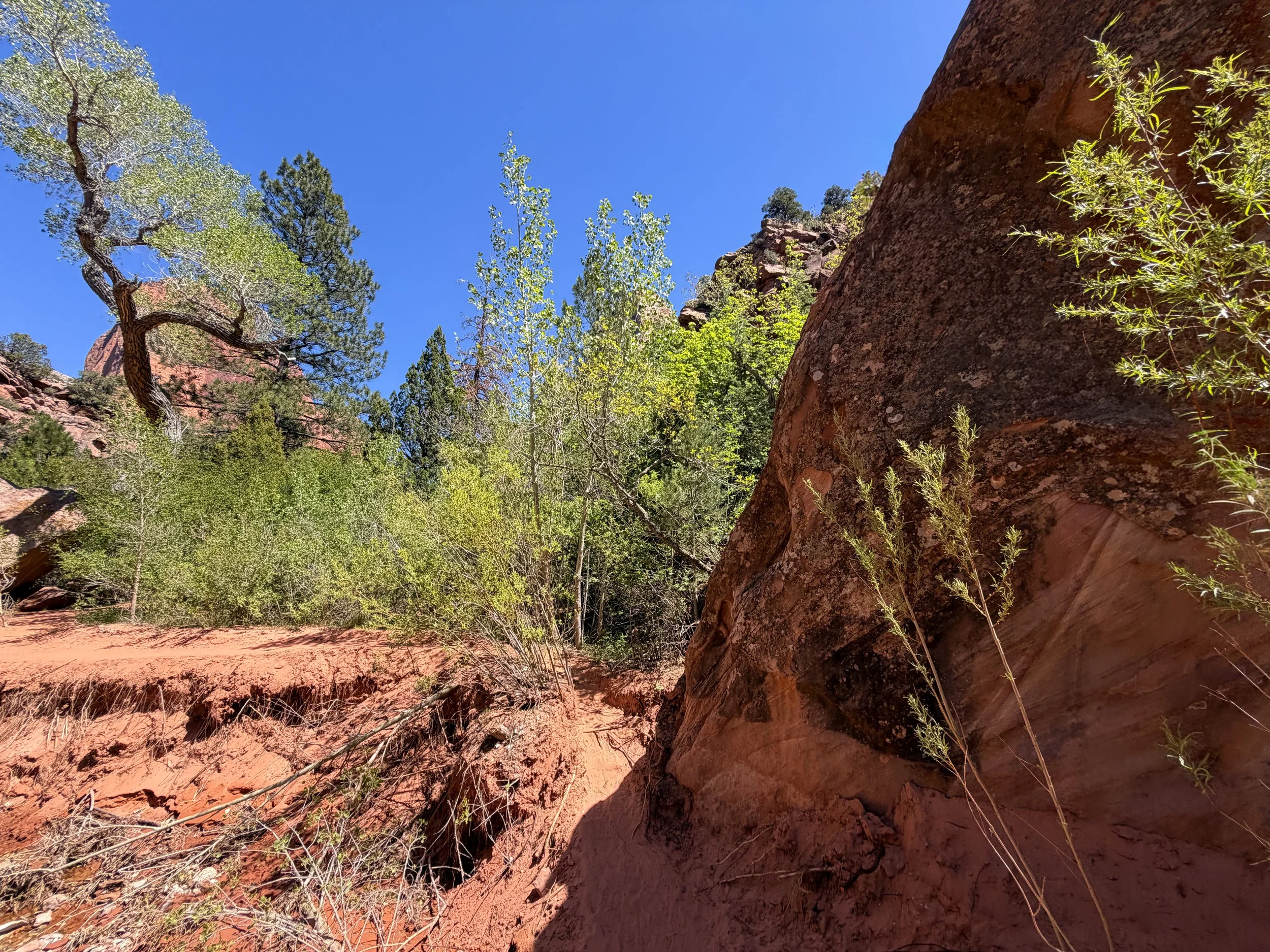 Middle Taylor Creek Trail Zion National Park Utah